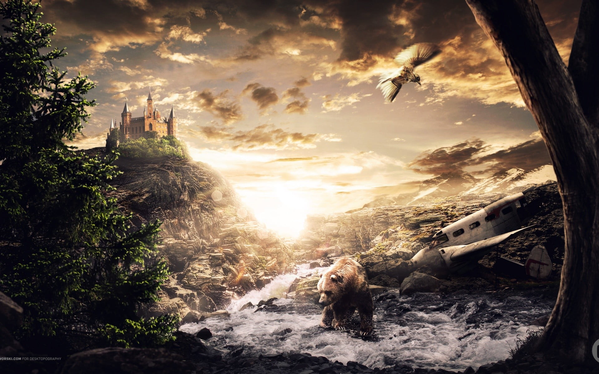 dog, castle, bears, 1080P, domestic, tree, river, plant, one animal, brown, fantasy art, mode of transportation, vertebrate, transportation, nature, mammal, HD Wallpaper