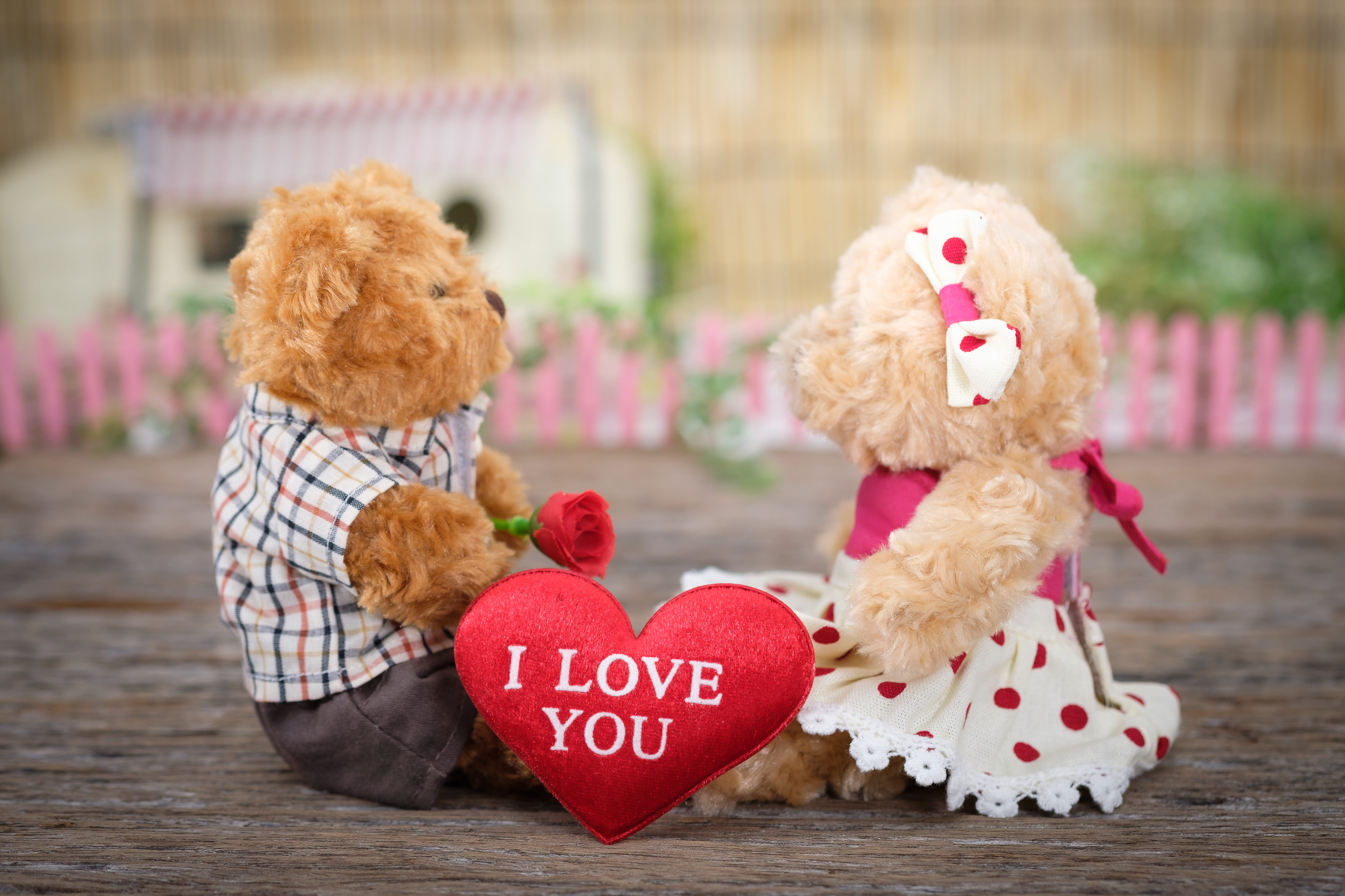 cute, mammal, no people, heart, text, wood, softness, bear, close-up, rose, small, positive emotion, focus, photo, sit, animal themes, miniature, creative, HD Wallpaper