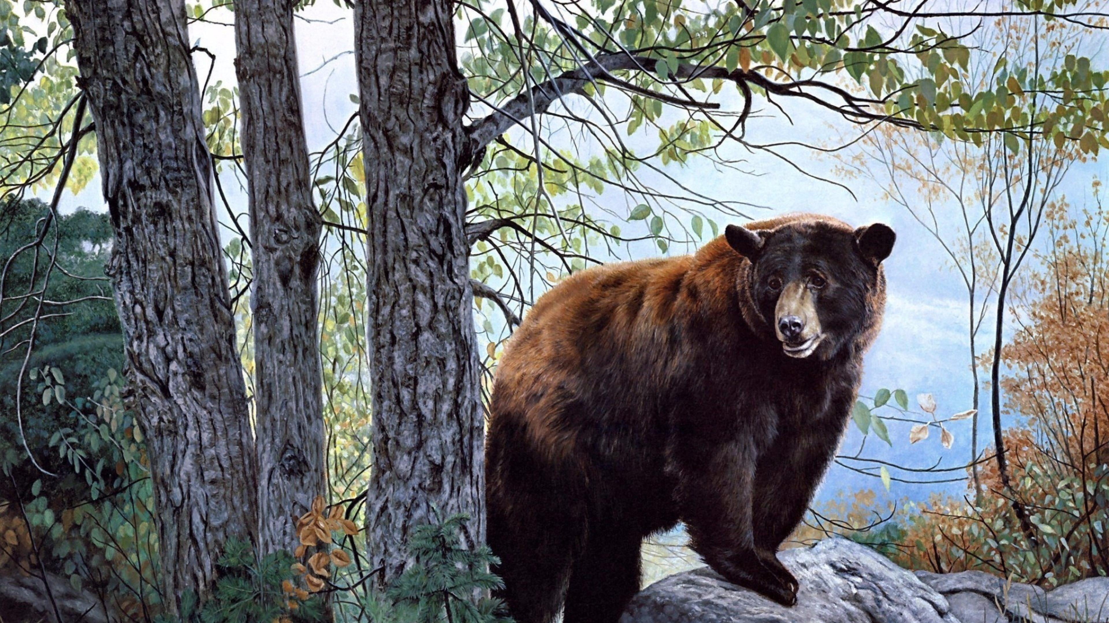 snarling, 4K, aggression, animal themes, wild animal, bear, trunk, animal, vertebrate, painting, tree, art, painting art, warning sign, forest, wilderness, HD Wallpaper