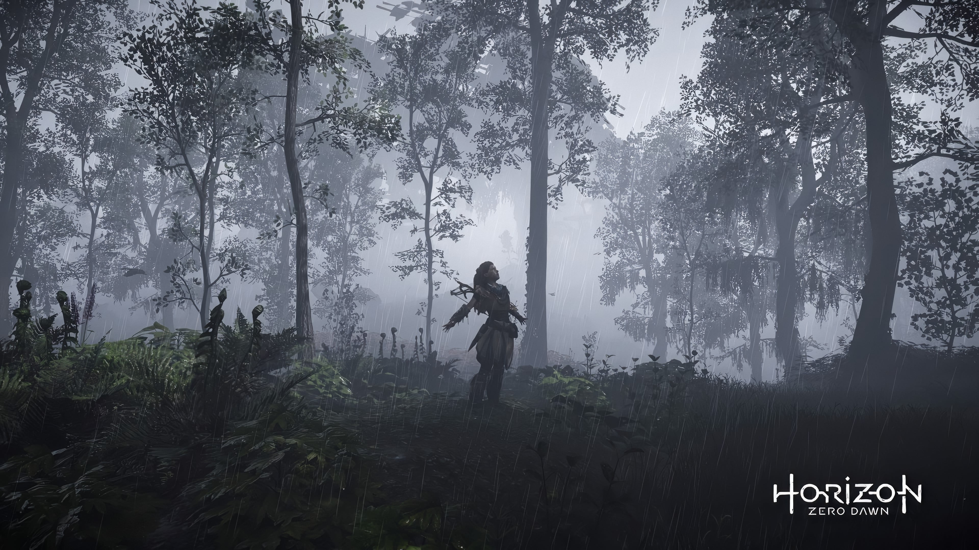 low saturation, rain, screen shot, Aloy (Horizon: Zero Dawn), Horizon: Zero Dawn, video games, 4K, horizon zero dawn, HD Wallpaper