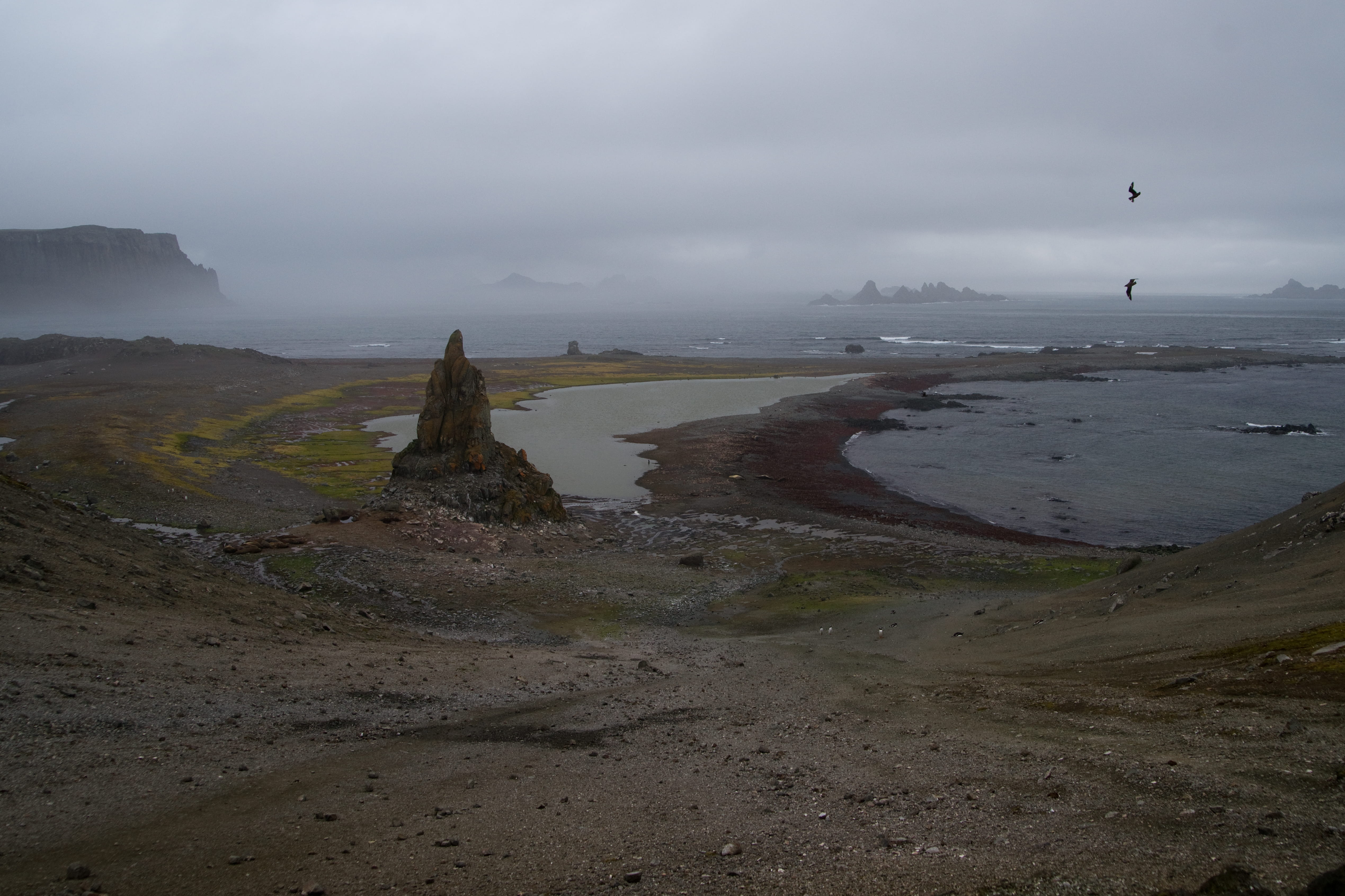 antarctica, landscape, fog, coastline, beauty in nature, grey, tranquility, mist, water, 4K, mystic, day, non-urban scene, dark, shore, beach, cloud - sky, HD Wallpaper