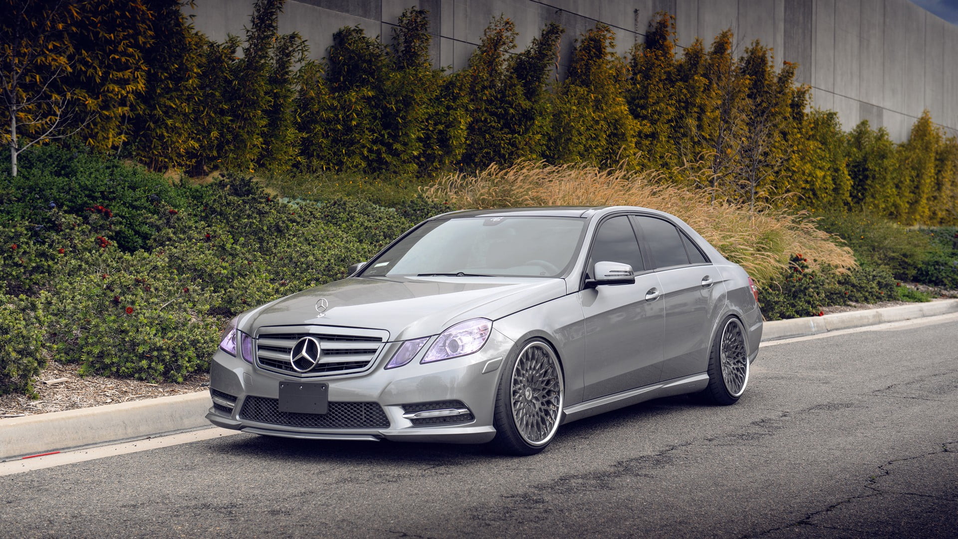 nature, transportation, benz, day, road, gray, street, Mercedes-Benz, city, silver cars, forest, stationary, growth, vehicle, mode of transportation, plant, HD Wallpaper