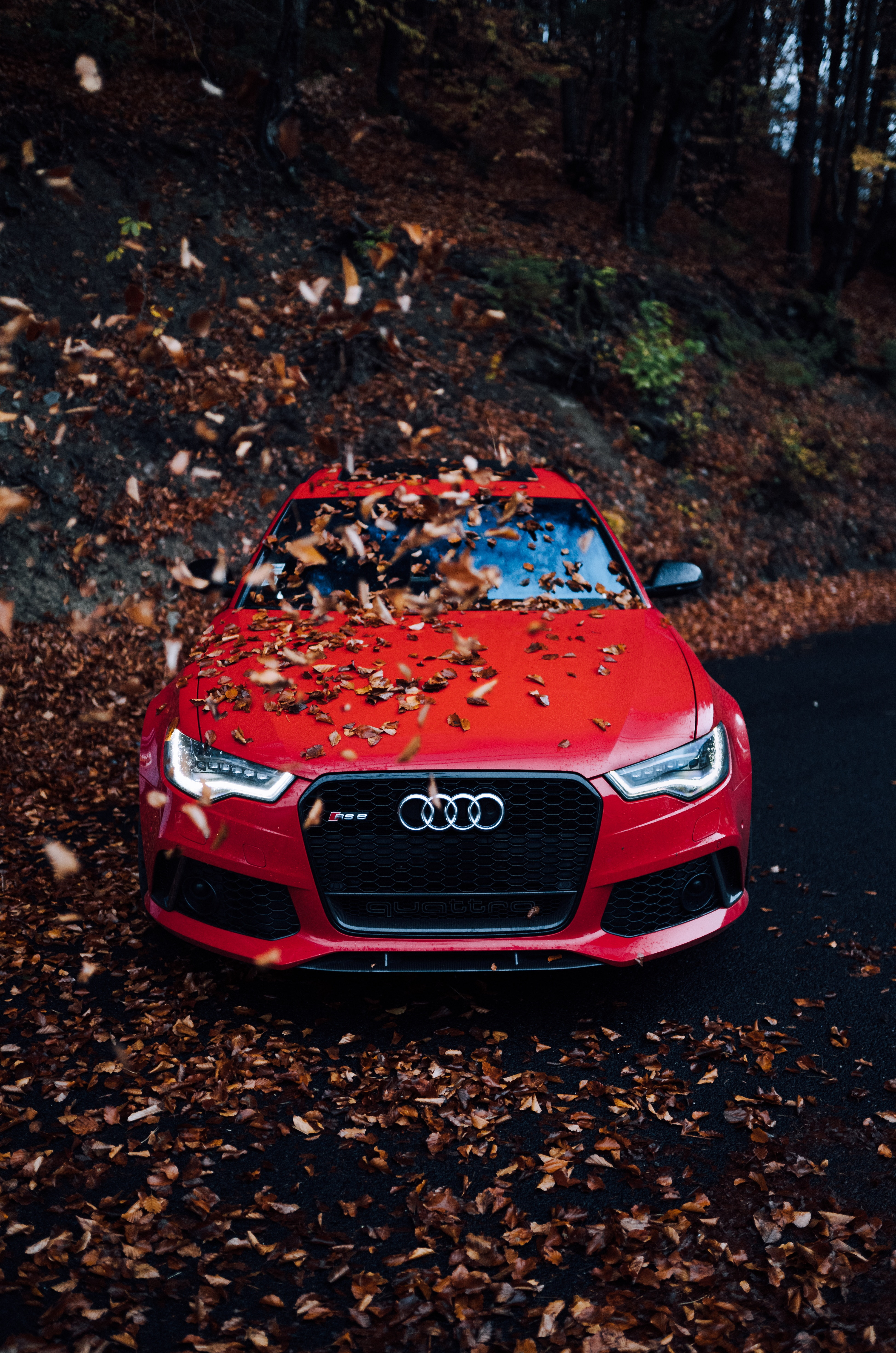 front view, car, autumn, red, 5K, bumper, audi, foliage, Phone HD Wallpaper