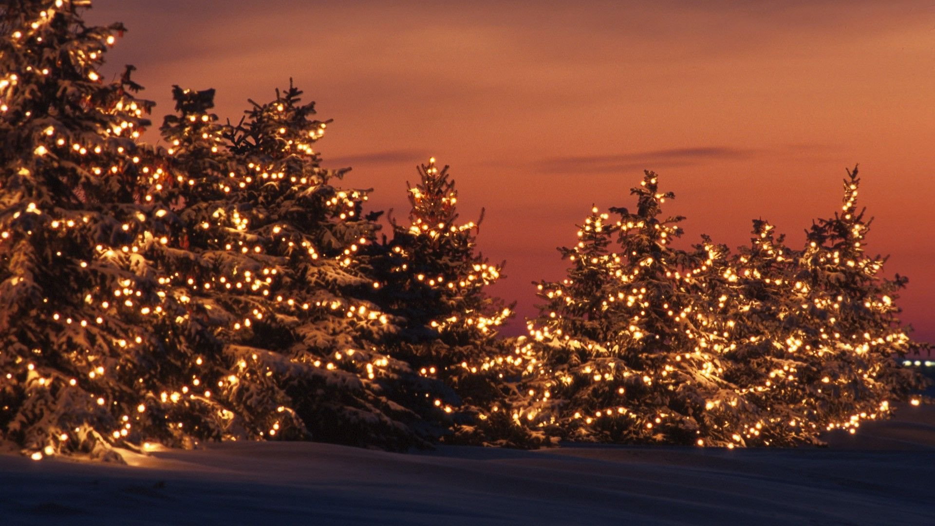 Sunset, Ligths, Christmas, Tree, Holiday, 1080P, HD Wallpaper