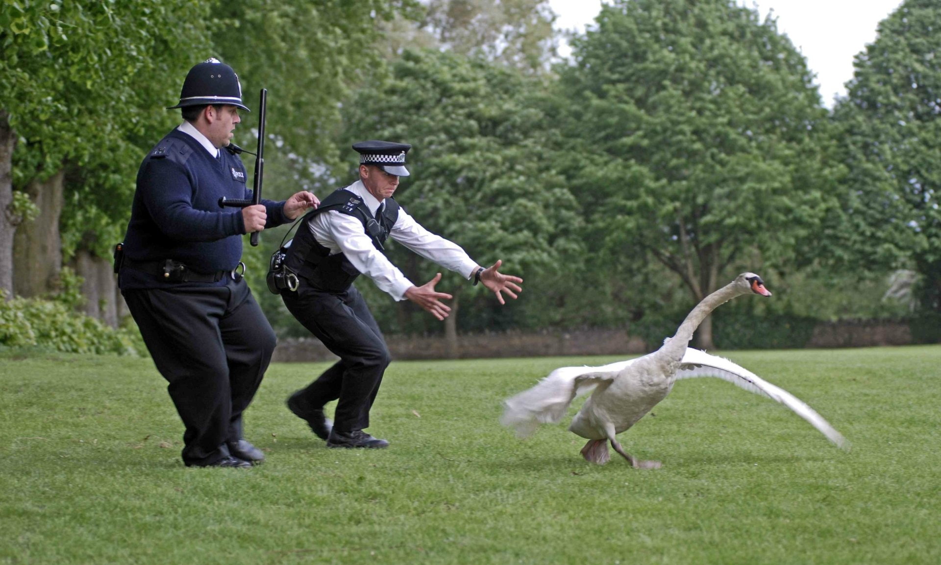 Hot Fuzz, Funny, Movie, 1080P, HD Wallpaper
