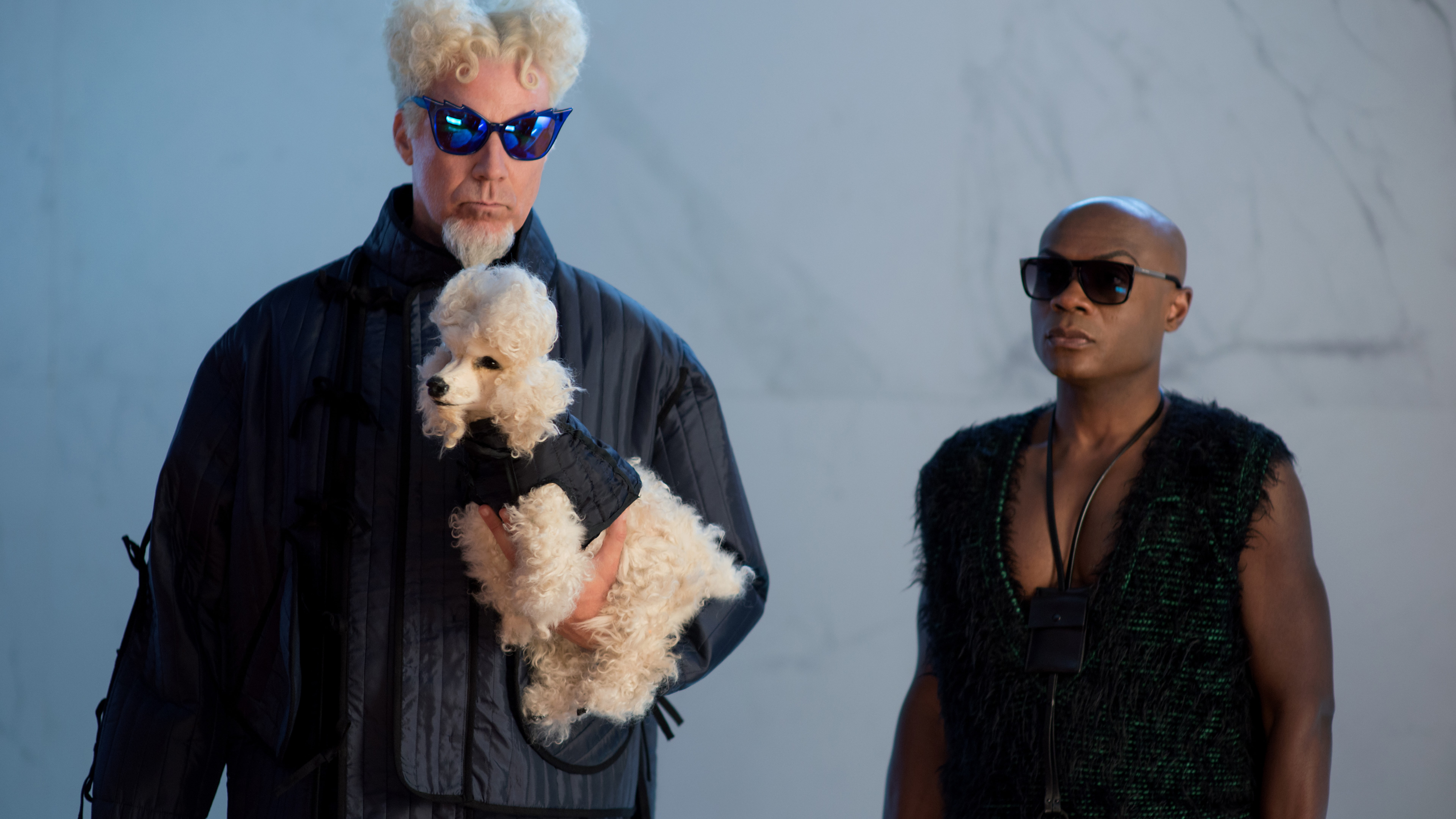 top, 8K, dog, sleeveless, Will Ferrell, holding, jacket, poodle, black, best movies of 2016, near, wearing, man, Zoolander 2, white, HD Wallpaper
