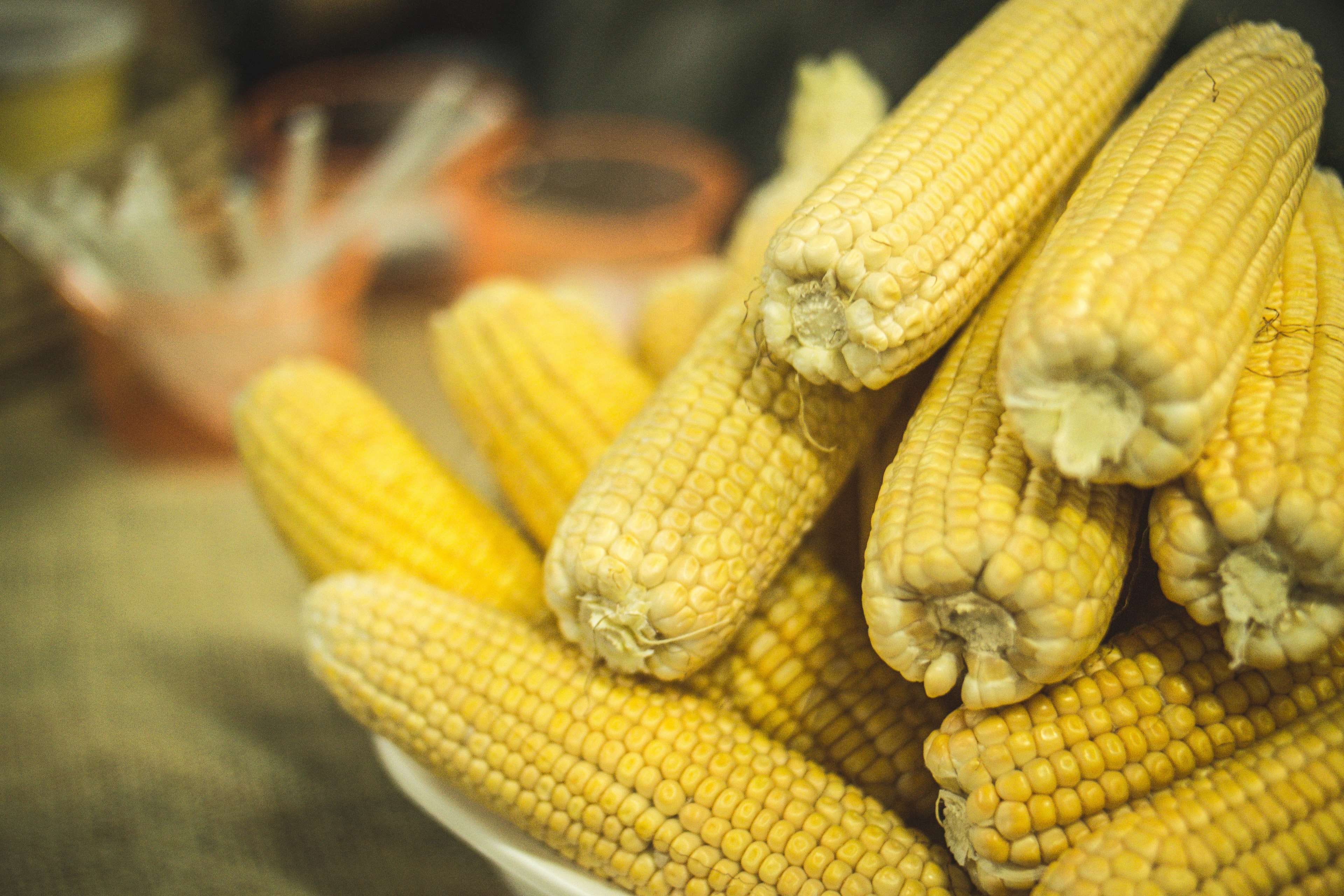 corn on the cob, food and drink, corn - crop, healthy eating, focus on foreground, northeast, tenon, green corn, indoors, day, baked, wellbeing, yellow, HD Wallpaper