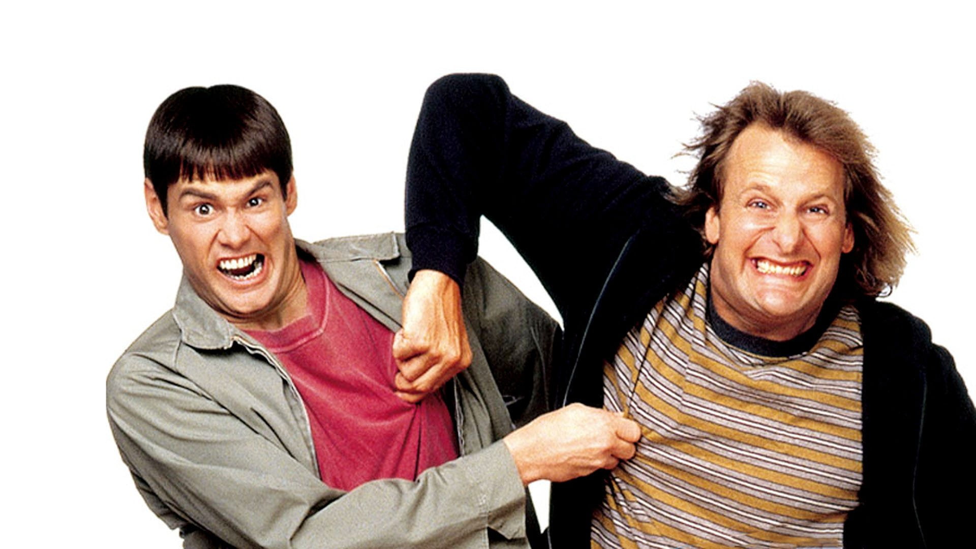 funny, 1080P, dumb, comedy, dumber, family, humor, HD Wallpaper