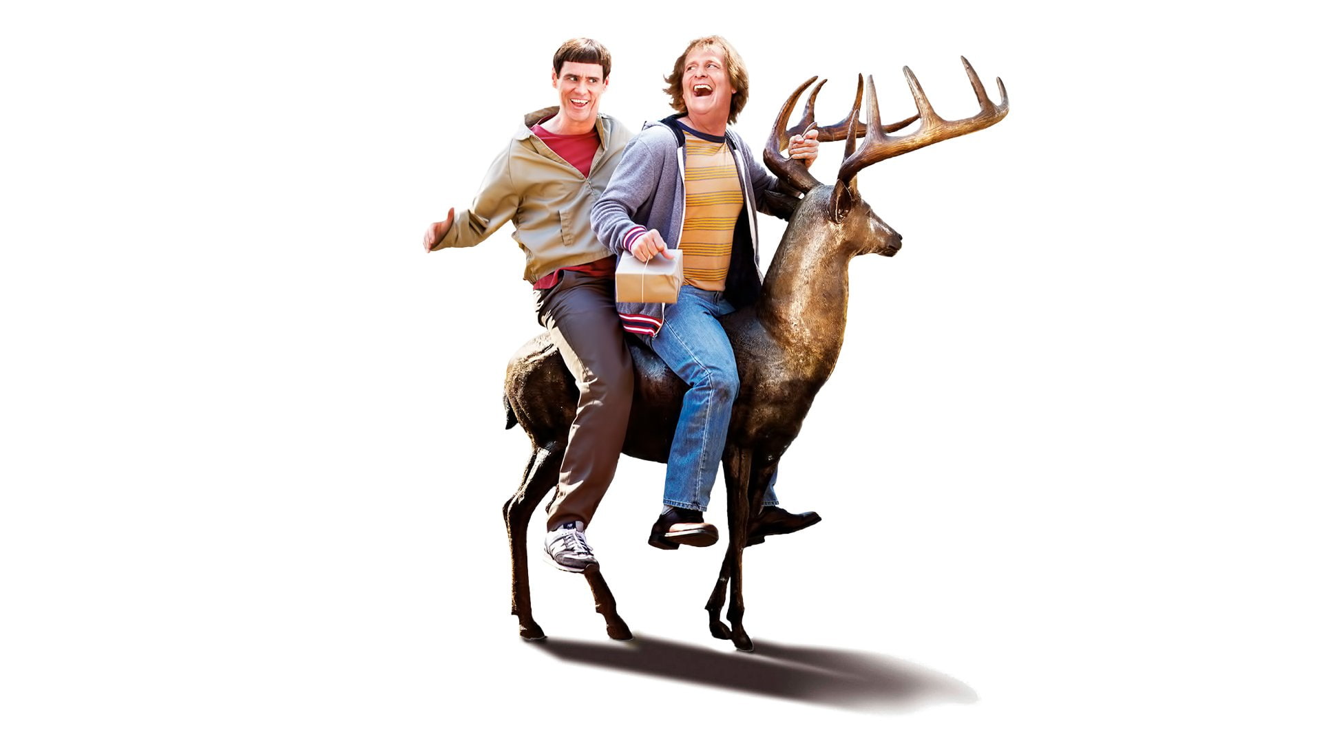 1080P, Movie, Dumb and Dumber To, HD Wallpaper
