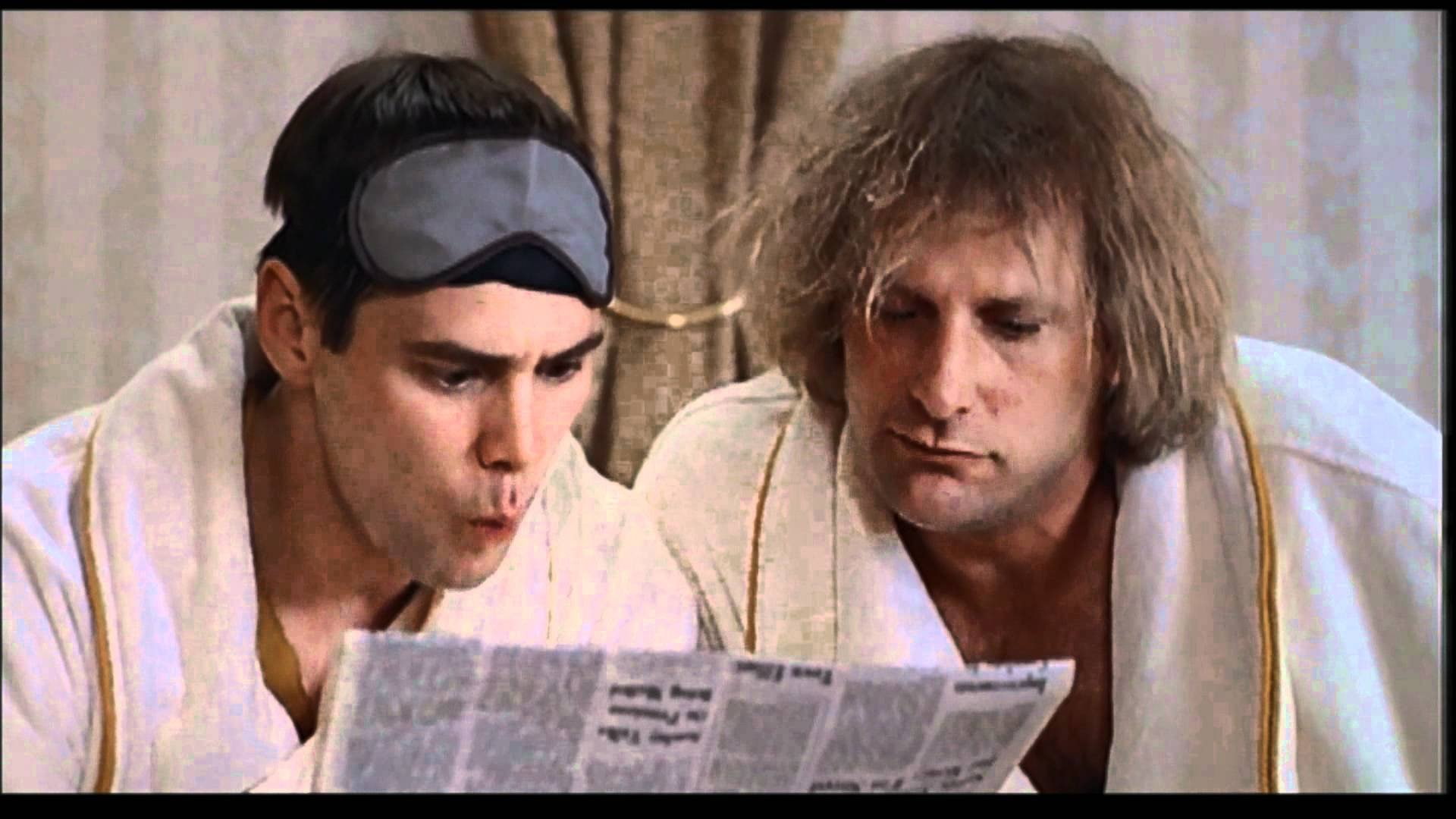 funny, 1080P, humor, family, dumber, dumb, comedy, HD Wallpaper