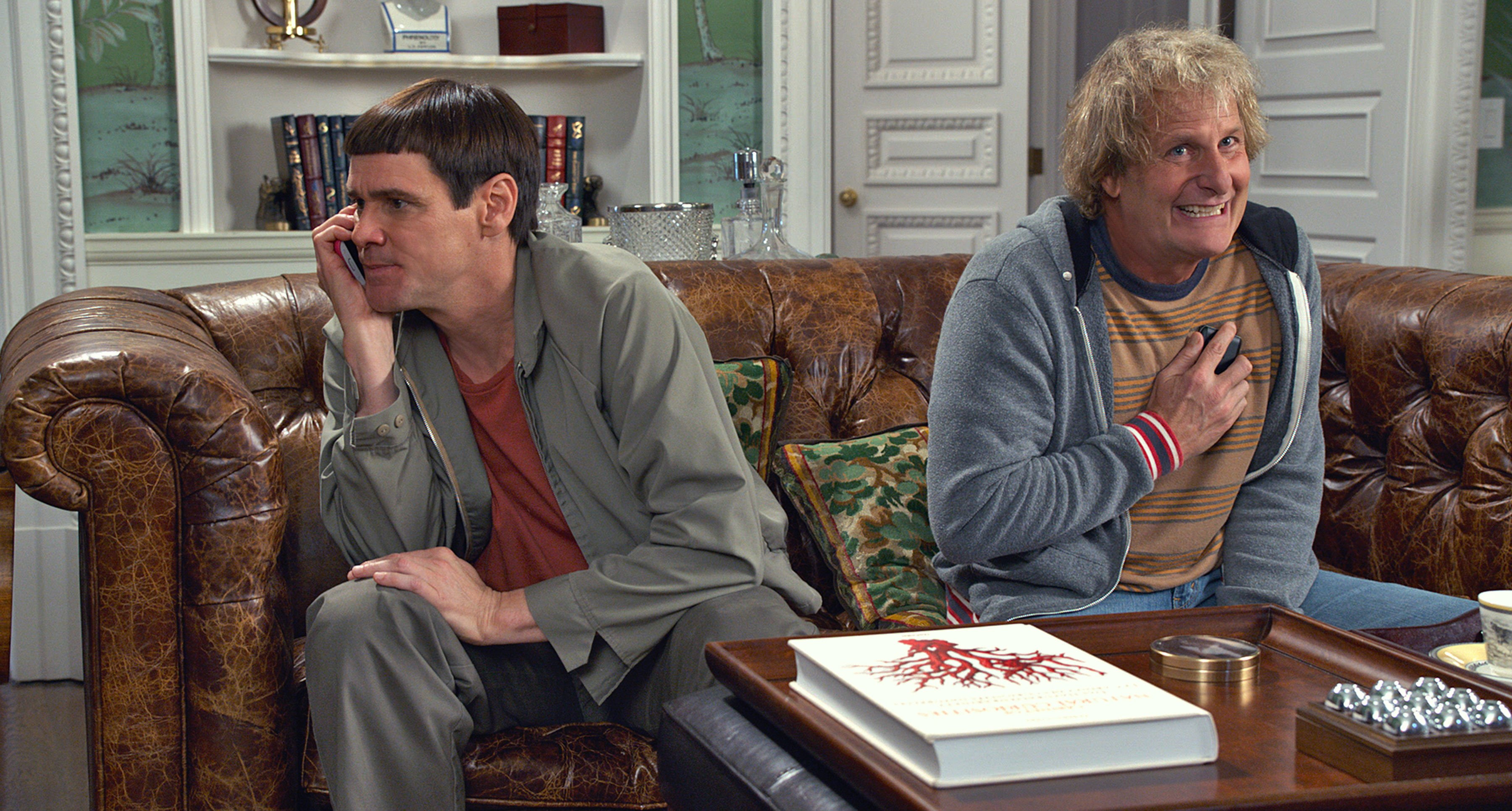 2K, family, funny, humor, dumb, comedy, dumber, HD Wallpaper