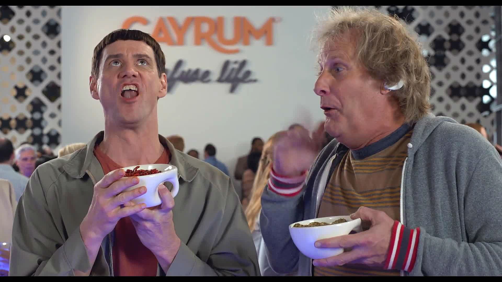 1080P, comedy, dumb, funny, family, humor, dumber, HD Wallpaper