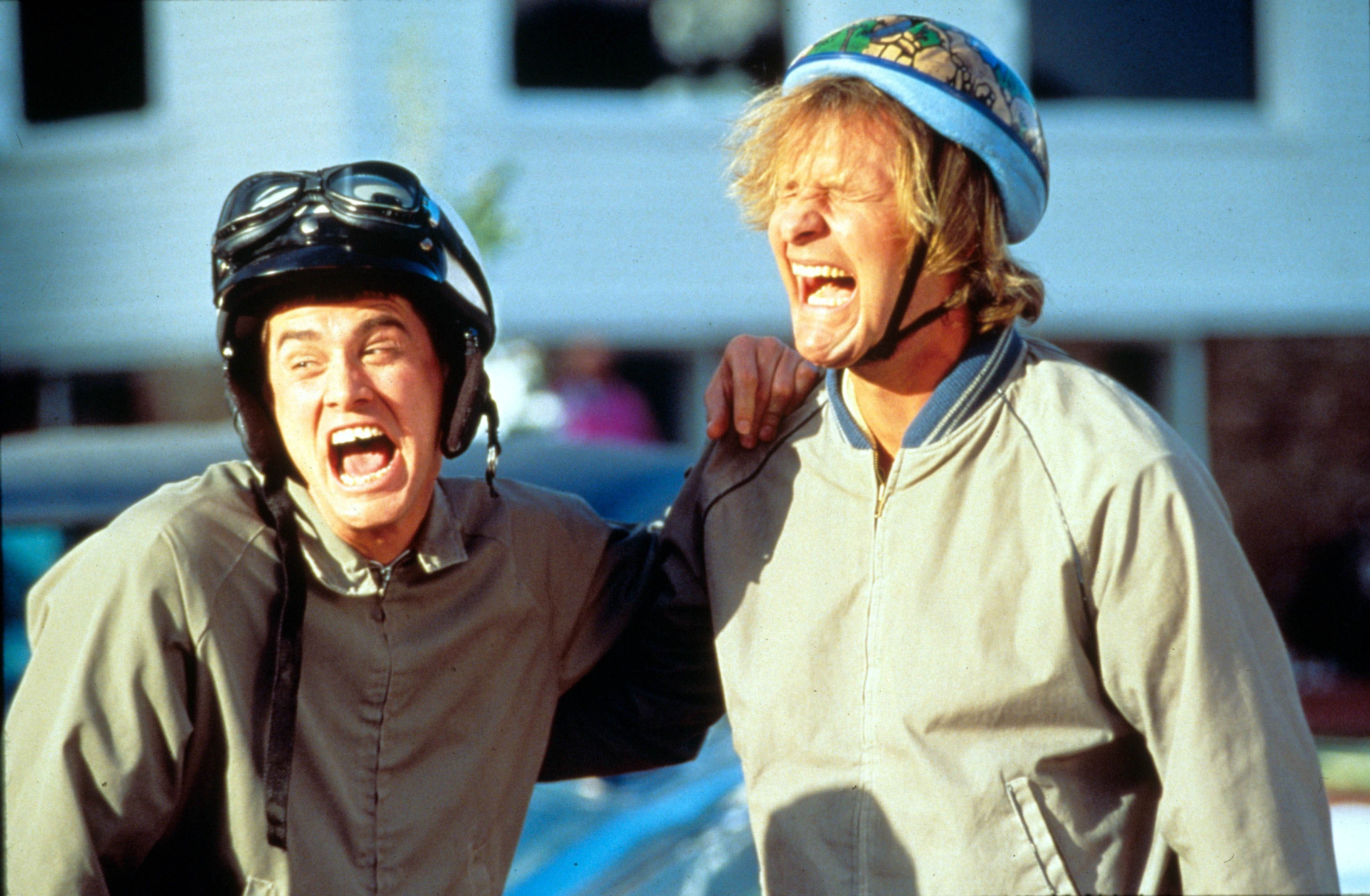 family, dumb, humor, comedy, dumber, 2K, funny, HD Wallpaper