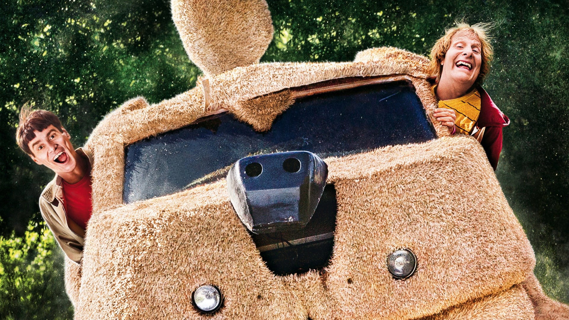 dumb and dumber to, 1080P, HD Wallpaper