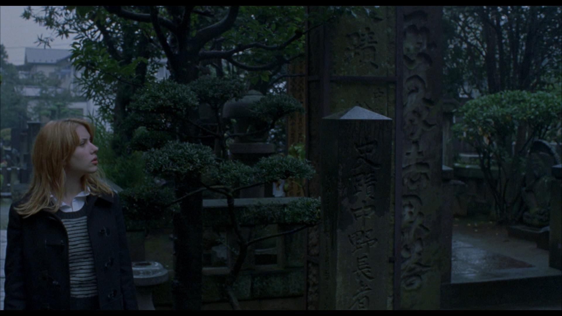 1080P, Lost In Translation, Movie, HD Wallpaper