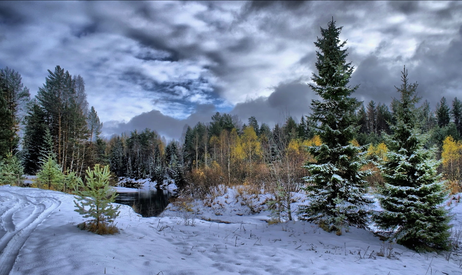 non-Urban Scene, woodland, clouds, outdoors, pine woodland, sky, backgrounds, wilderness Area, vacations, snowy, coniferous Tree, tree, protector, forest, HD Wallpaper