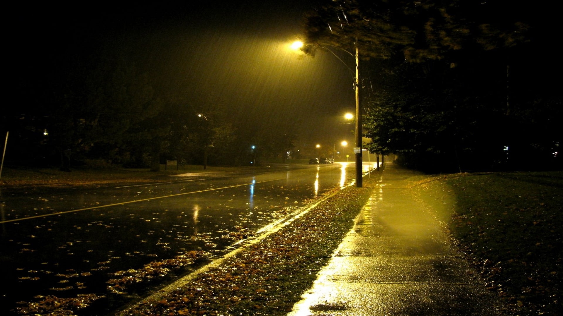 street light, rain, illuminated, light beam, the way forward, outdoors, transportation, wet, green, footpath, lighting equipment, leafed, road, urban, nature, HD Wallpaper