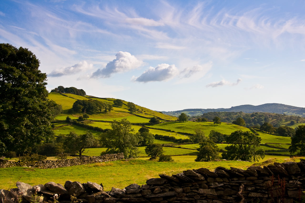 grass, mountain, trees, stone wall, field, Lake District, green field, meadow, outdoors, summer, Landscape, hill, scenics, green Color, EOS 400D, pasture, HD Wallpaper