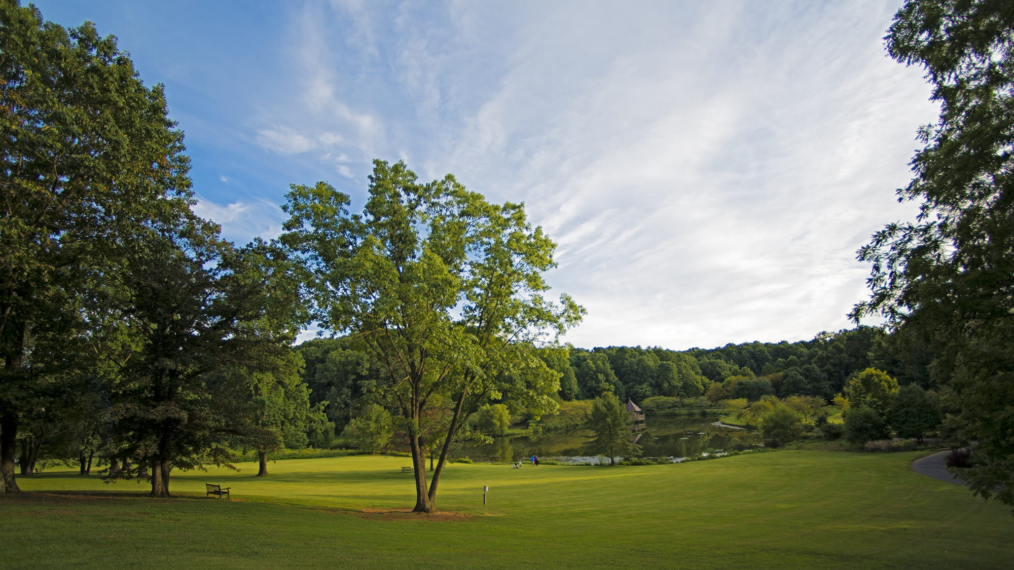 scenics - nature, forest, sky, green color, outdoors, day, field, land, golf course, park, tranquil, light, 1080P, tress, grass, golf, trees, summer, color, HD Wallpaper