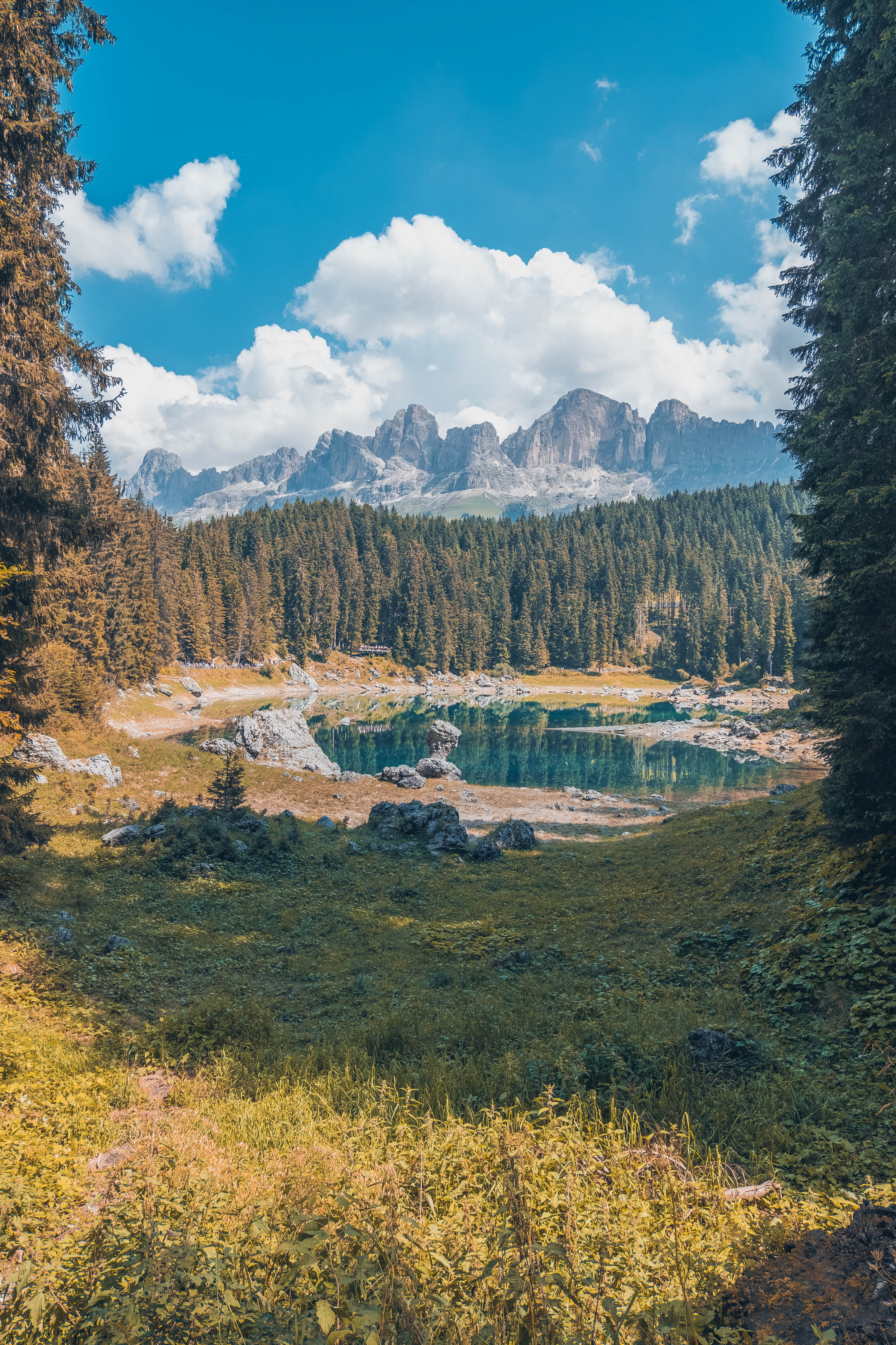 canada, landscape, leafed, forest, lake, banff National Park, hiking, sudtirol, rocky Mountains, mountain Peak, blue, travel, tourism, woodland, river, Phone HD Wallpaper