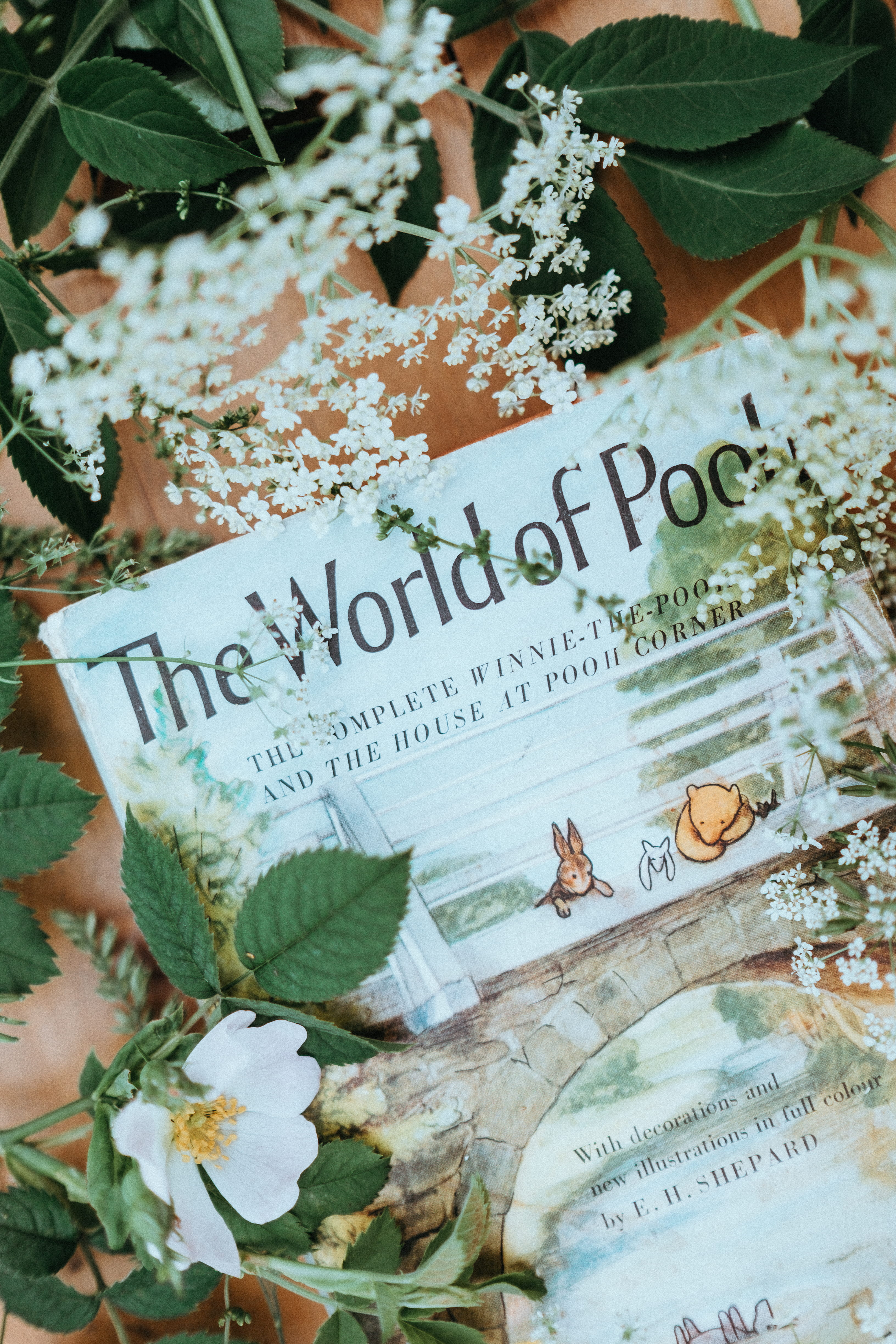 communication, winnie, growth, nature, western script, vintage, food, finance, stem, bear, branch, flatlay, pool, flowers, winnie the pooh, flower, leaf, Phone HD Wallpaper