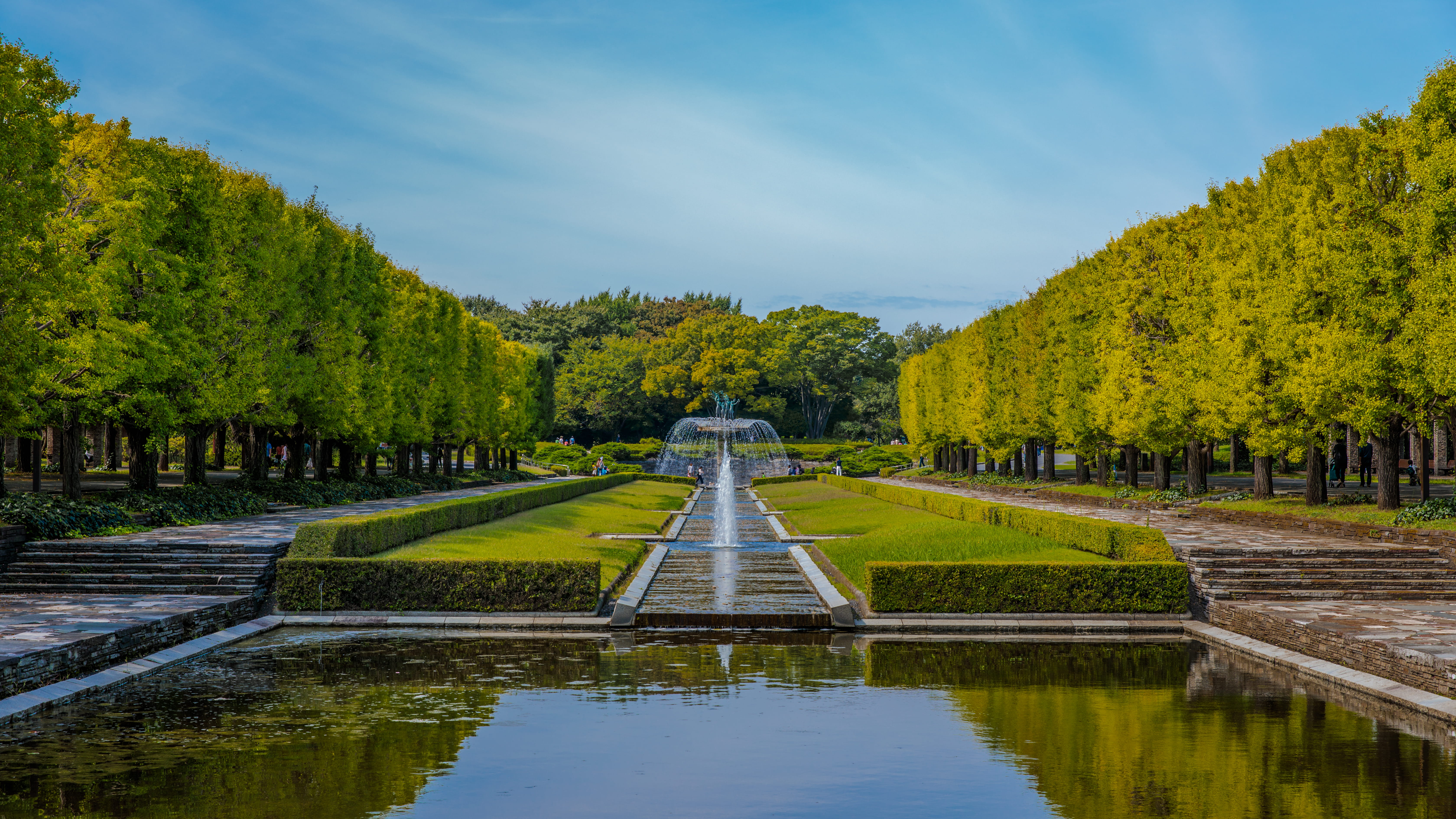 nature, green color, autumn, hedge, formal garden, diminishing perspective, architecture, park, reflecting pool, garden, tranquil scene, treelined, outdoors, HD Wallpaper