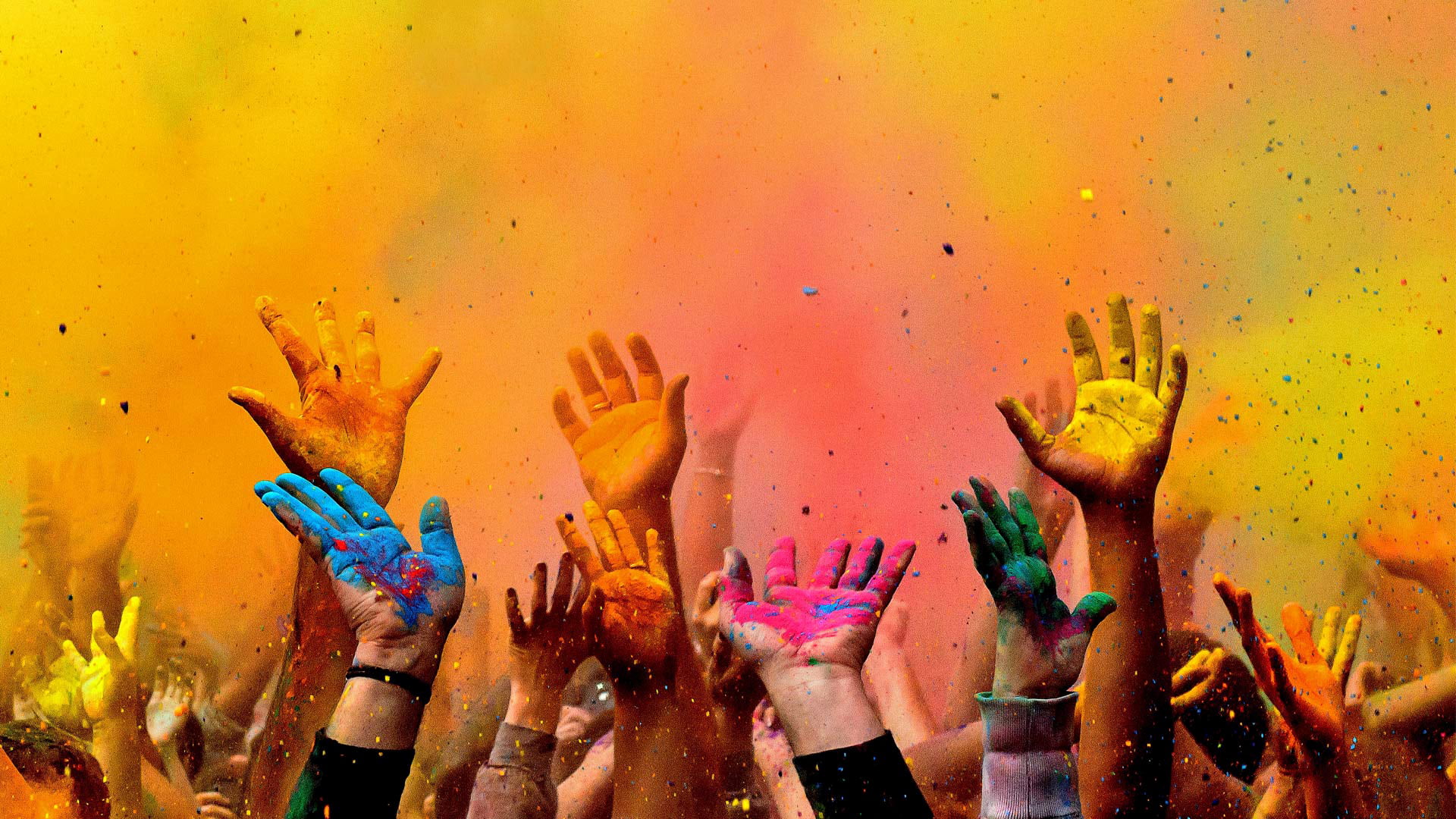 USA, powder paint, celebration, human arm, real people, body part, human limb, indoors, vibrant color, group of people, arms raised, Holi, people, s, multi colored, HD Wallpaper
