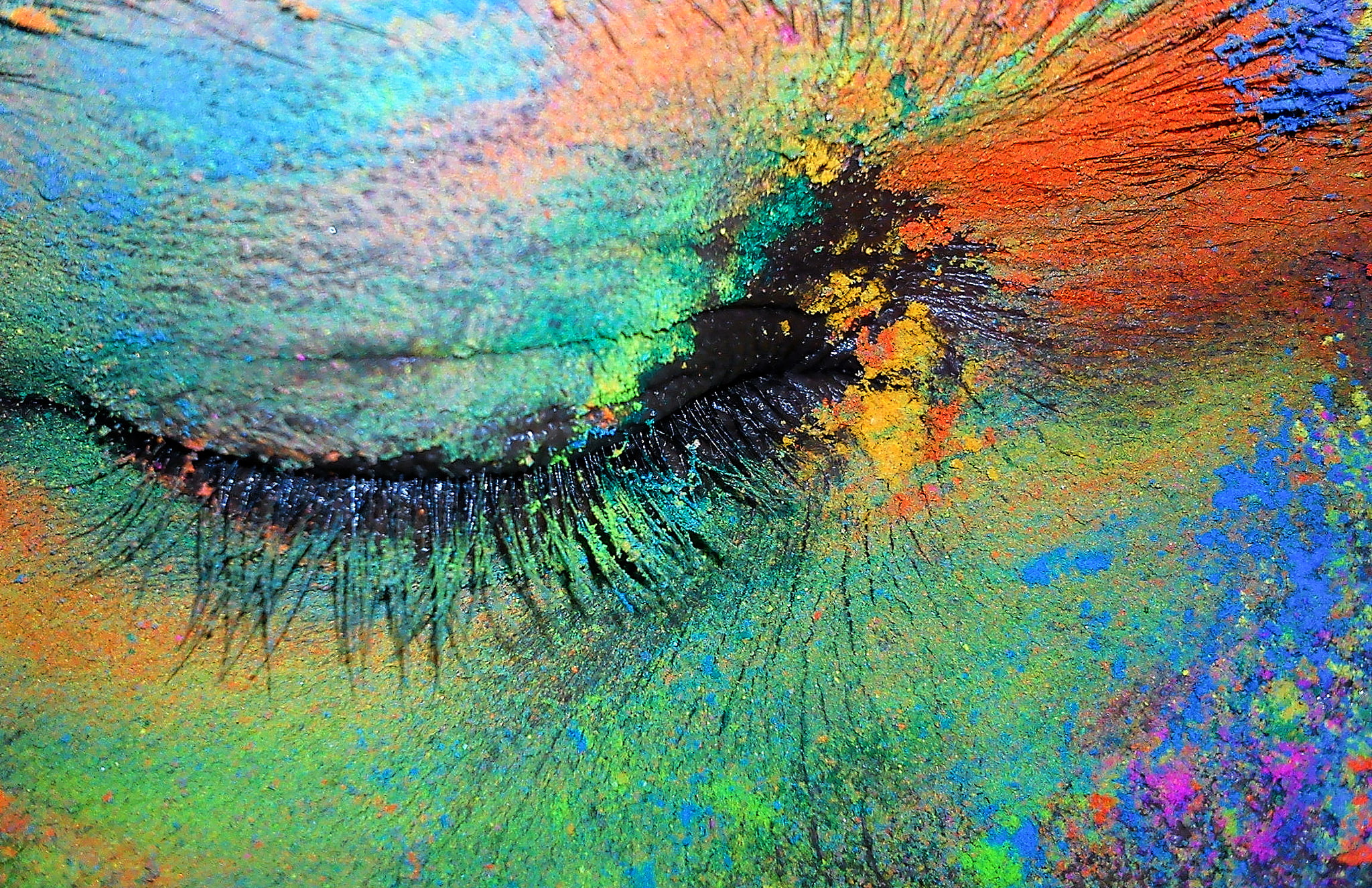 festival, color, india, hindu, 1080P, holi, spring, colours, HD Wallpaper