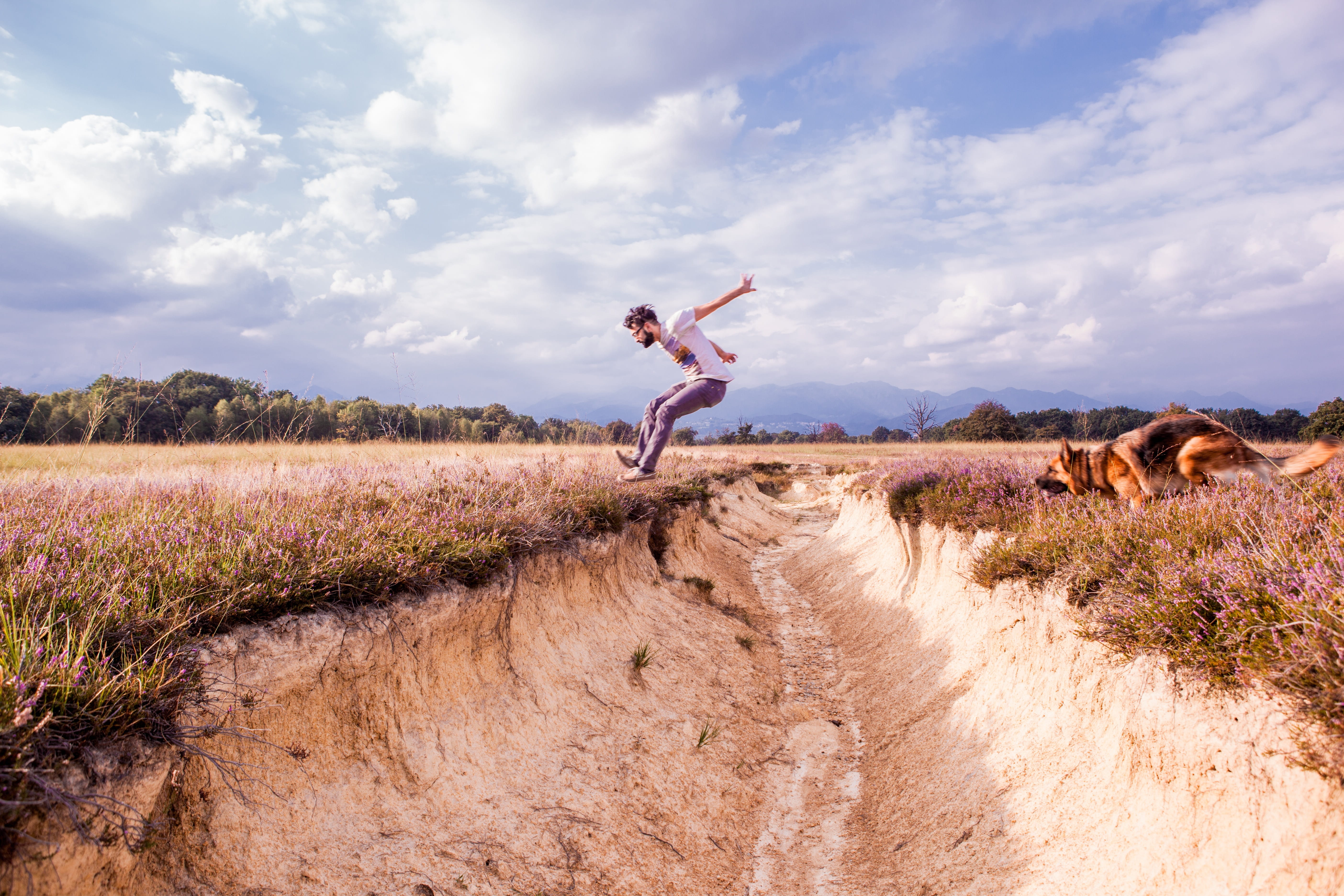 arms raised, breed, playing, fun, shepherd, arms outstretched, sky, active, shirt, summer, human body part, mammal, animal, excitement, boy, outdoor, brown, HD Wallpaper