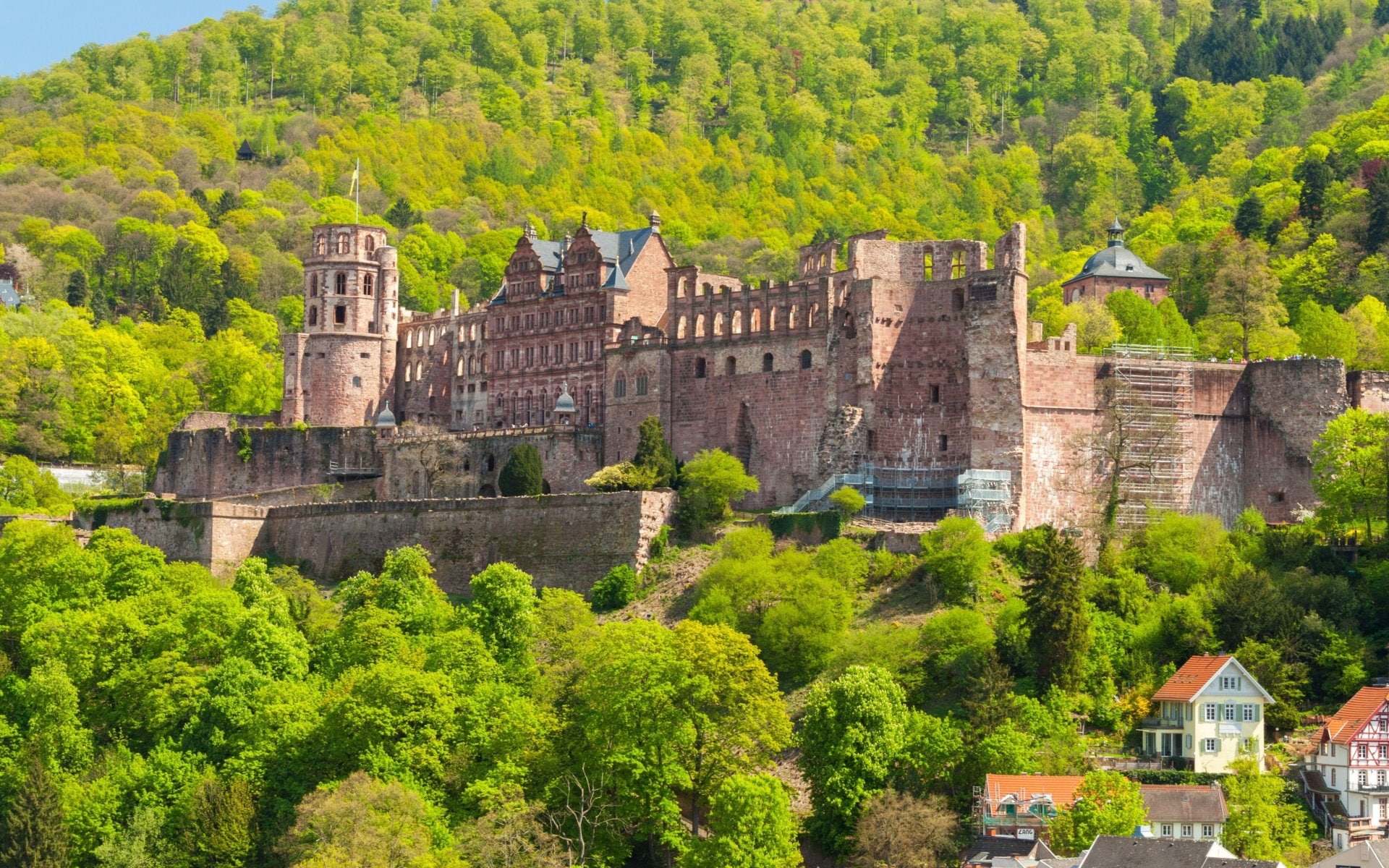 1080P, Heidelberg Castle, Castles, HD Wallpaper
