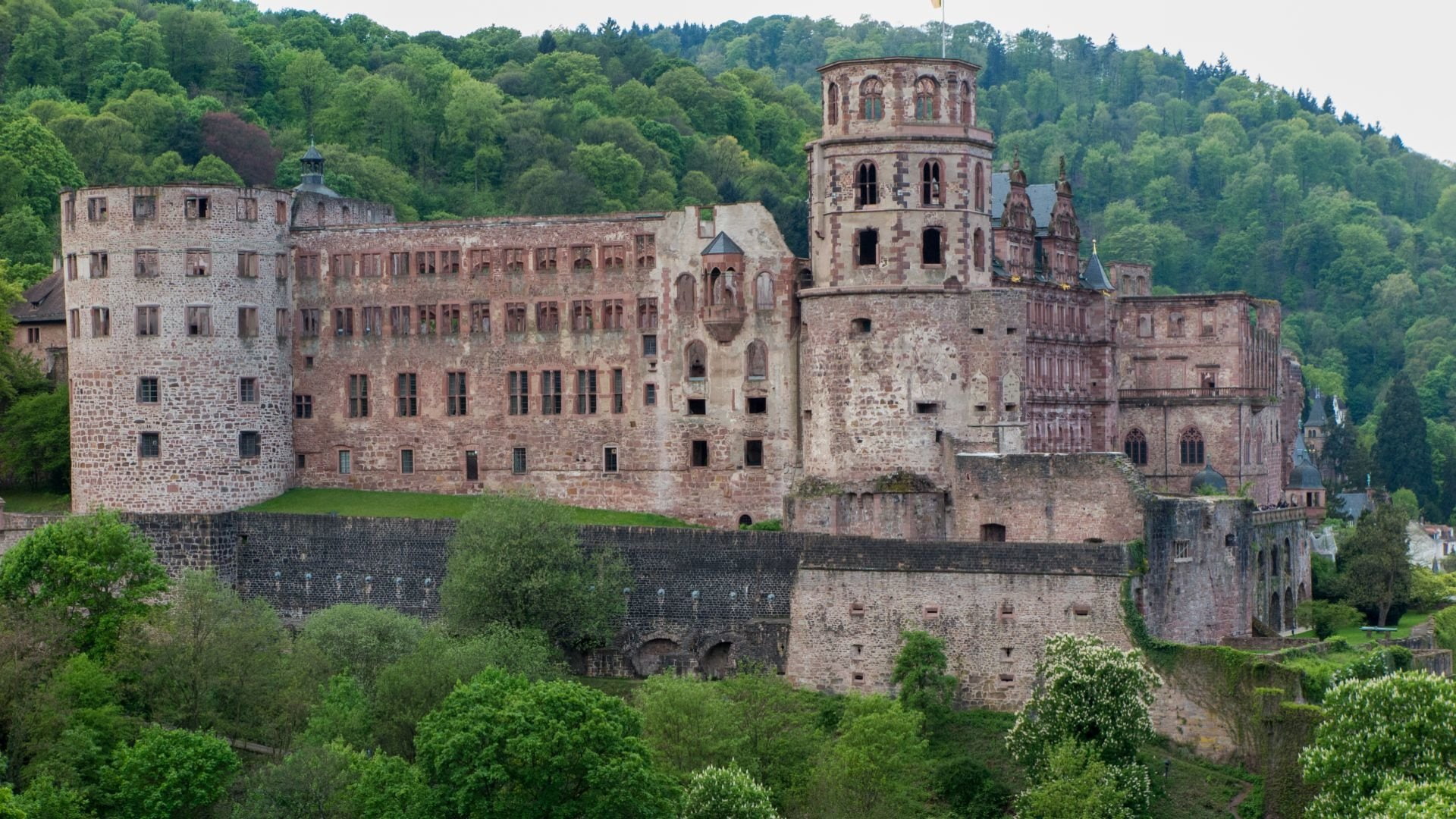 Heidelberg Castle, Castles, 1080P, HD Wallpaper