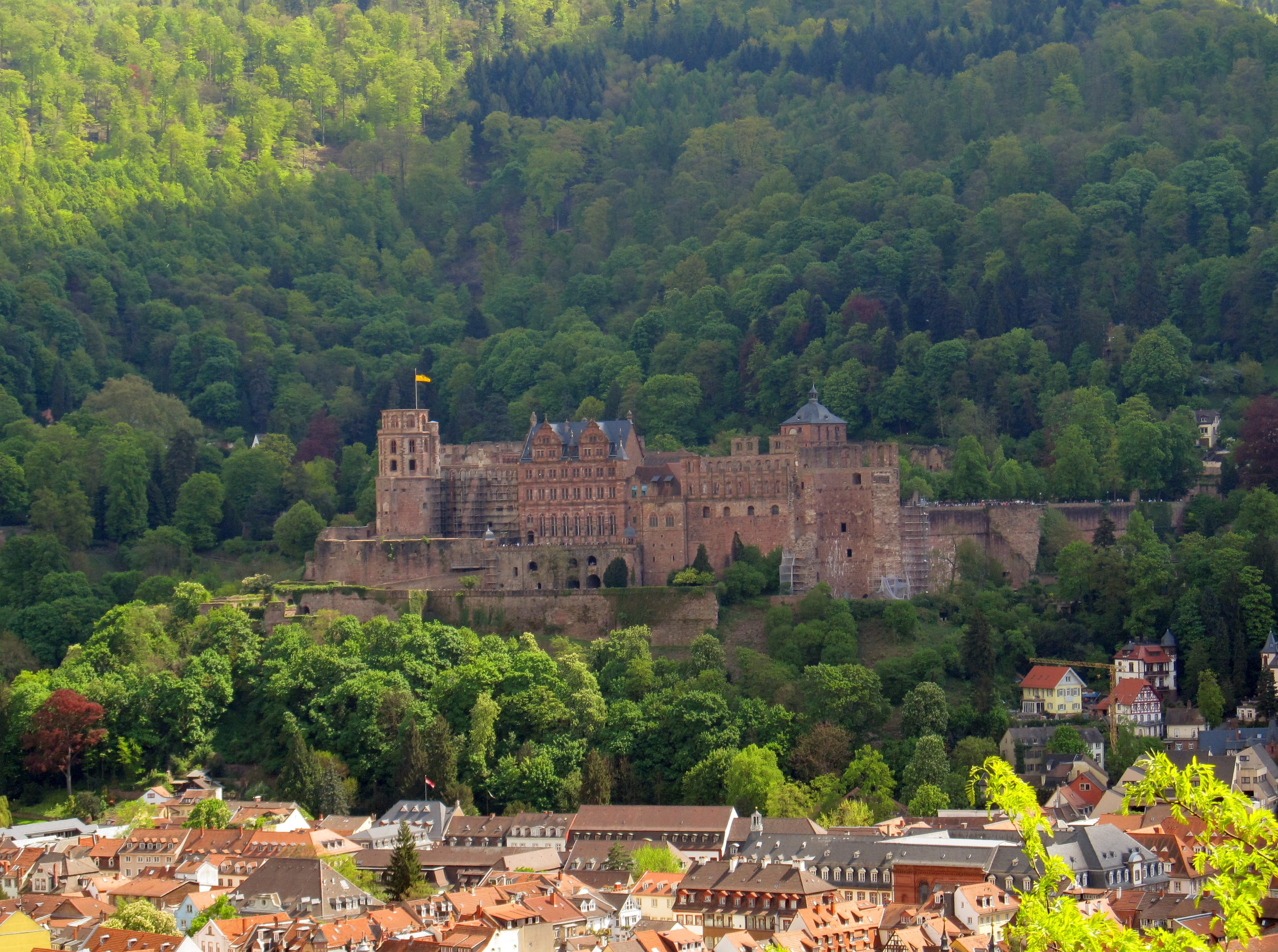 history, italian Culture, plant, famous Place, the past, building exterior, built structure, italy, travel, europe, ancient, green color, building, Heidelberg, HD Wallpaper