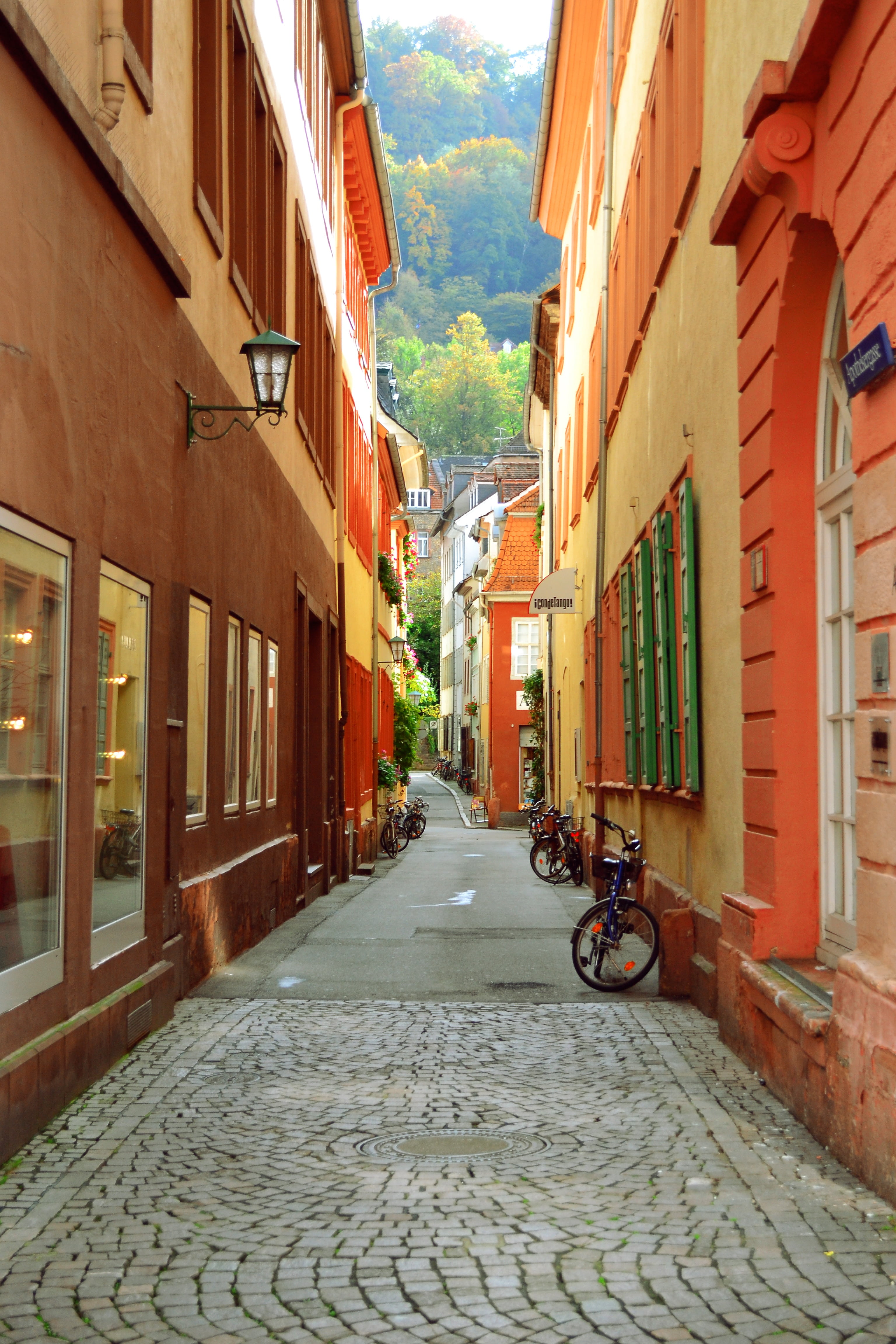 building, cityscape, alley, travel, the way forward, long, outdoors, cobblestone, narrow, urban, downtown, road, diminishing perspective, city, transportation, Phone HD Wallpaper