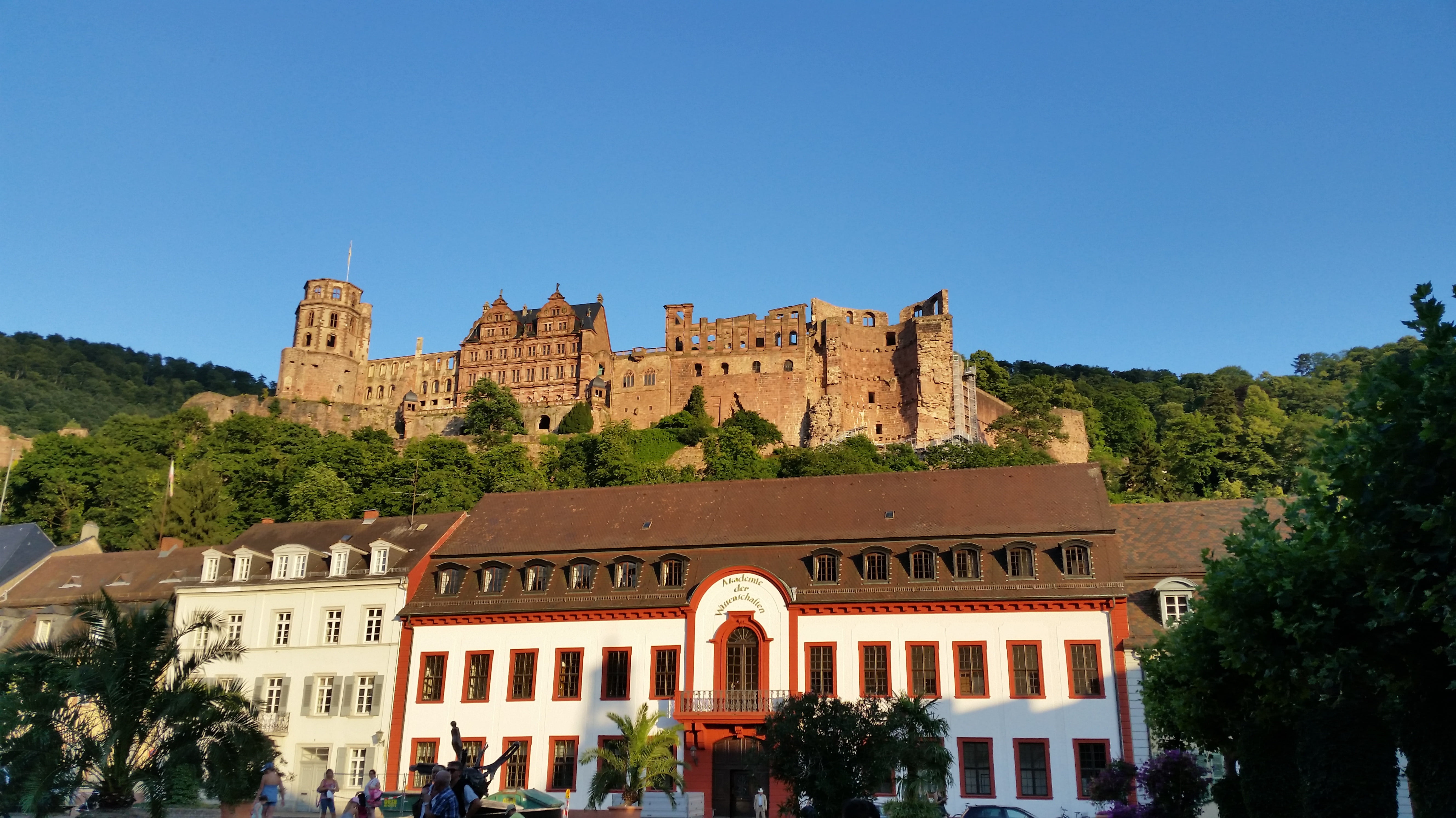 nature, tree, travel destinations, architecture, clear sky, plant, history, building, tourism, travel, sky, heidelberg, city, day, building exterior, built structure, HD Wallpaper