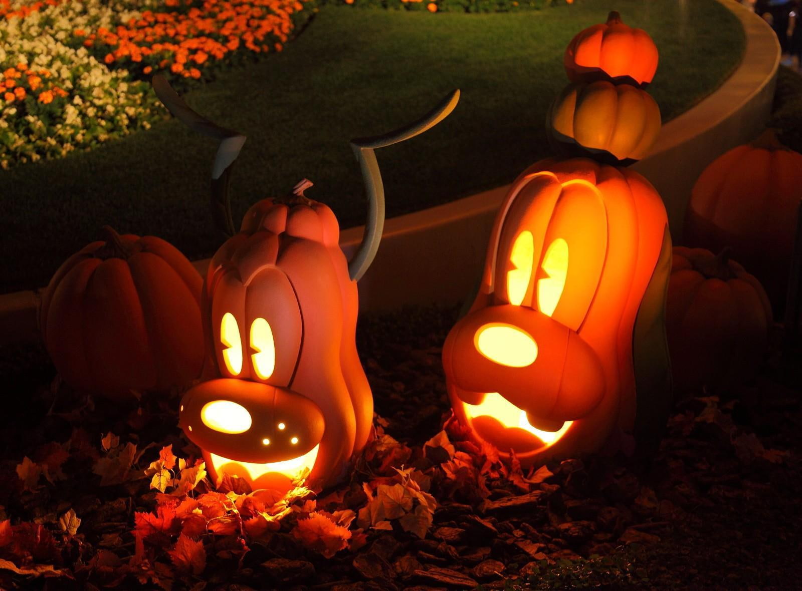 goofy, muzzle, pumpkin, holiday, 720P, halloween, light, HD Wallpaper