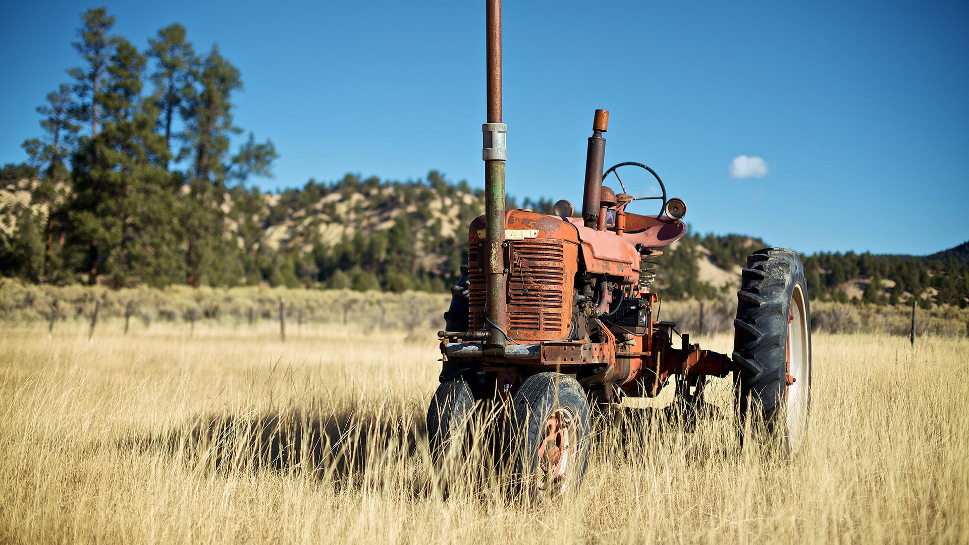 tool, farm machine, nature, day, wheel, vehicle, landscape, device, grass, focus on foreground, plant, road, machine, rural scene, antique, agriculture, HD Wallpaper
