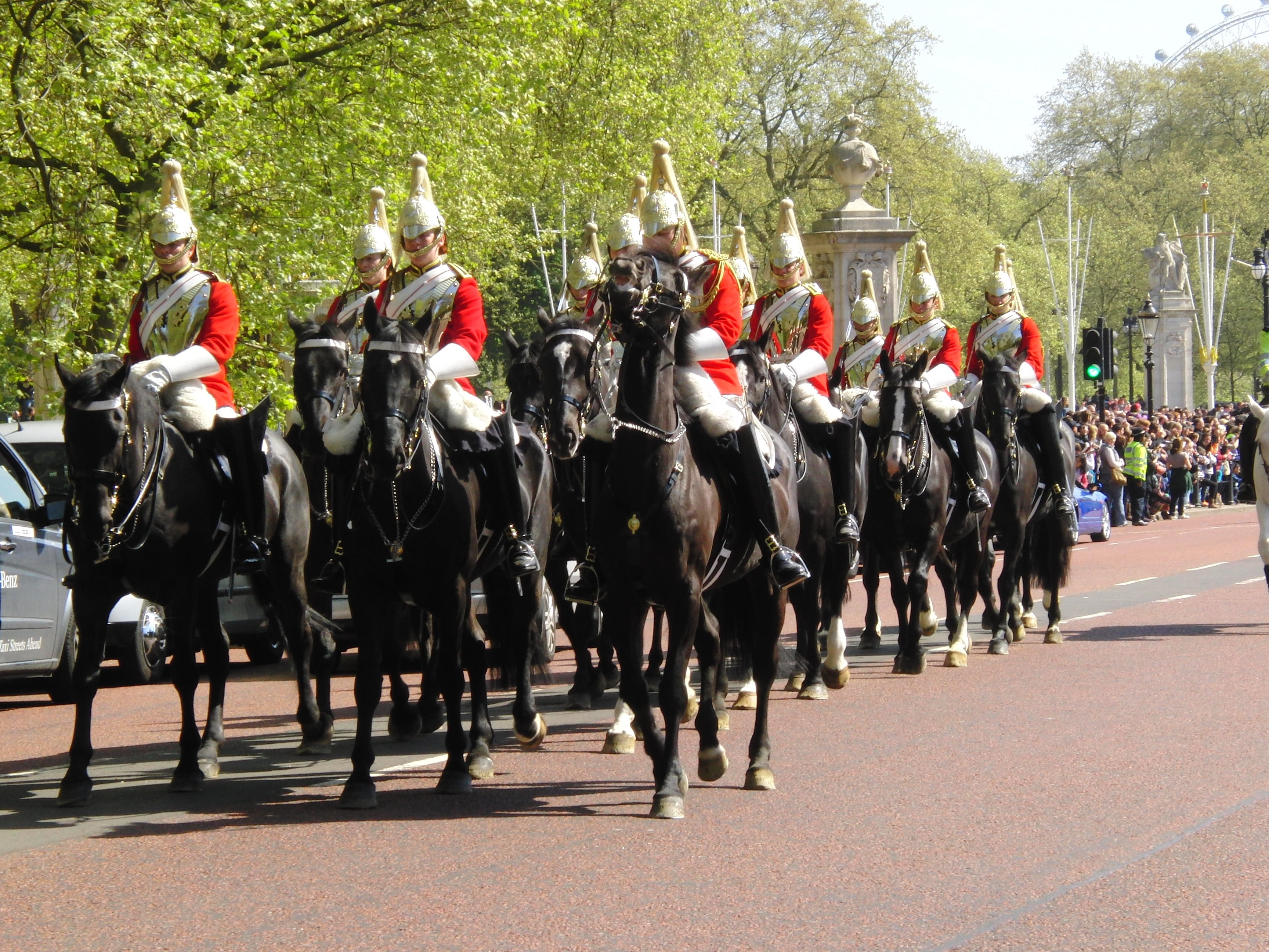 domestic animals, plant, crowd, 2K, real people, group of people, government, outdoors, horseback riding, parade, livestock, tree, united kingdom, england, HD Wallpaper