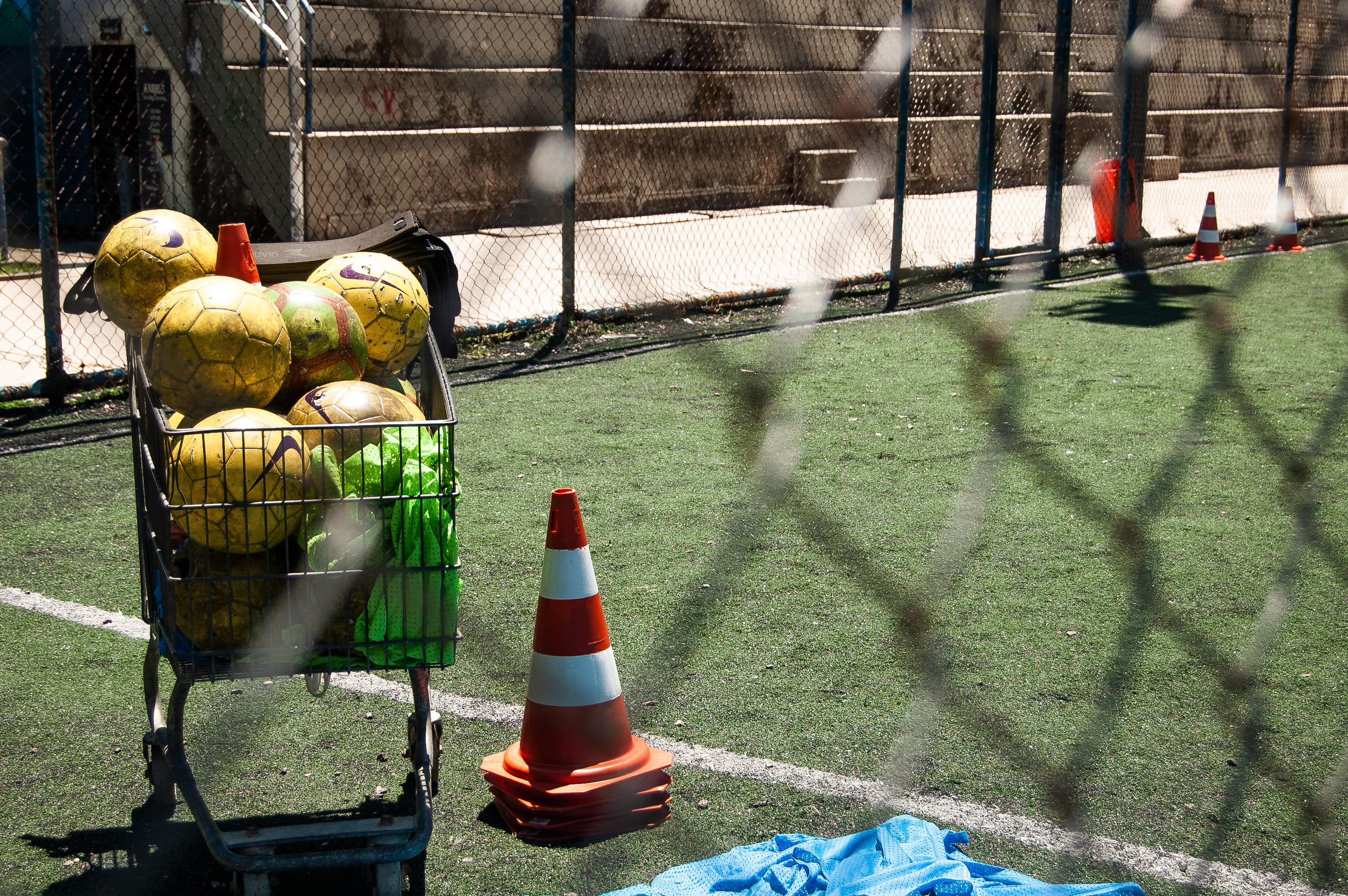 vertebrate, beside, food, shadow, nature, perching, traffic, grass, balls, crash helmet, helmet, animal themes, 2K, security, safety, fence, melon, bird, HD Wallpaper