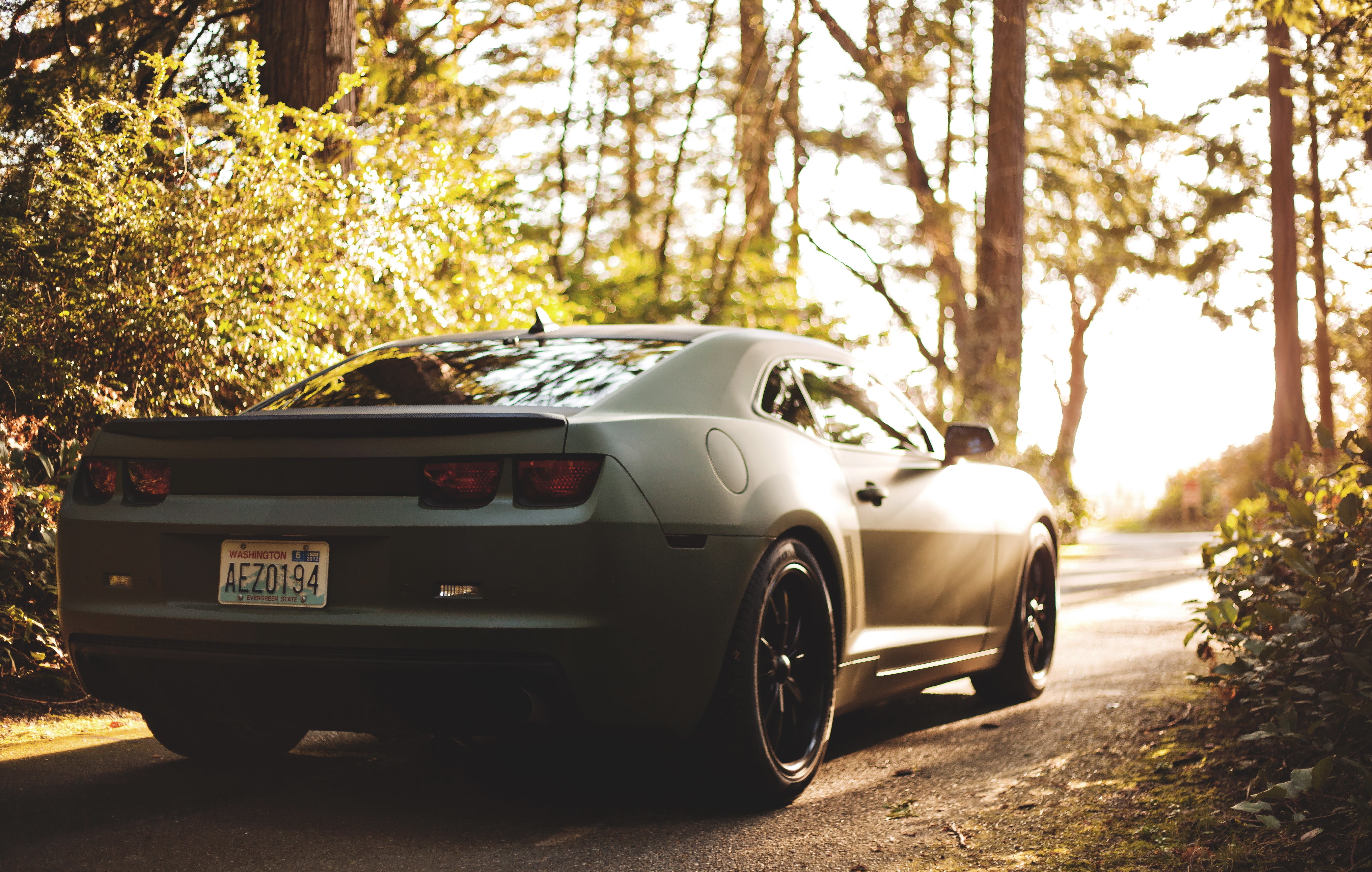 summer, forest, rear View, retro styled, outdoors, no People, city, 5K, land, day, mode of Transport, camaro, road, sports Car, gray, luxury, bokeh, modern, HD Wallpaper