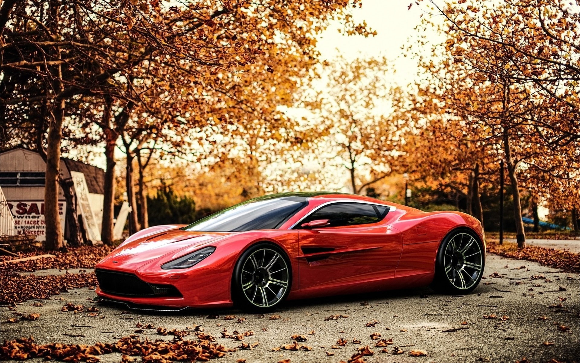 Aston, Supercar, dbc, 1080P, Martin, Autumn, HD Wallpaper