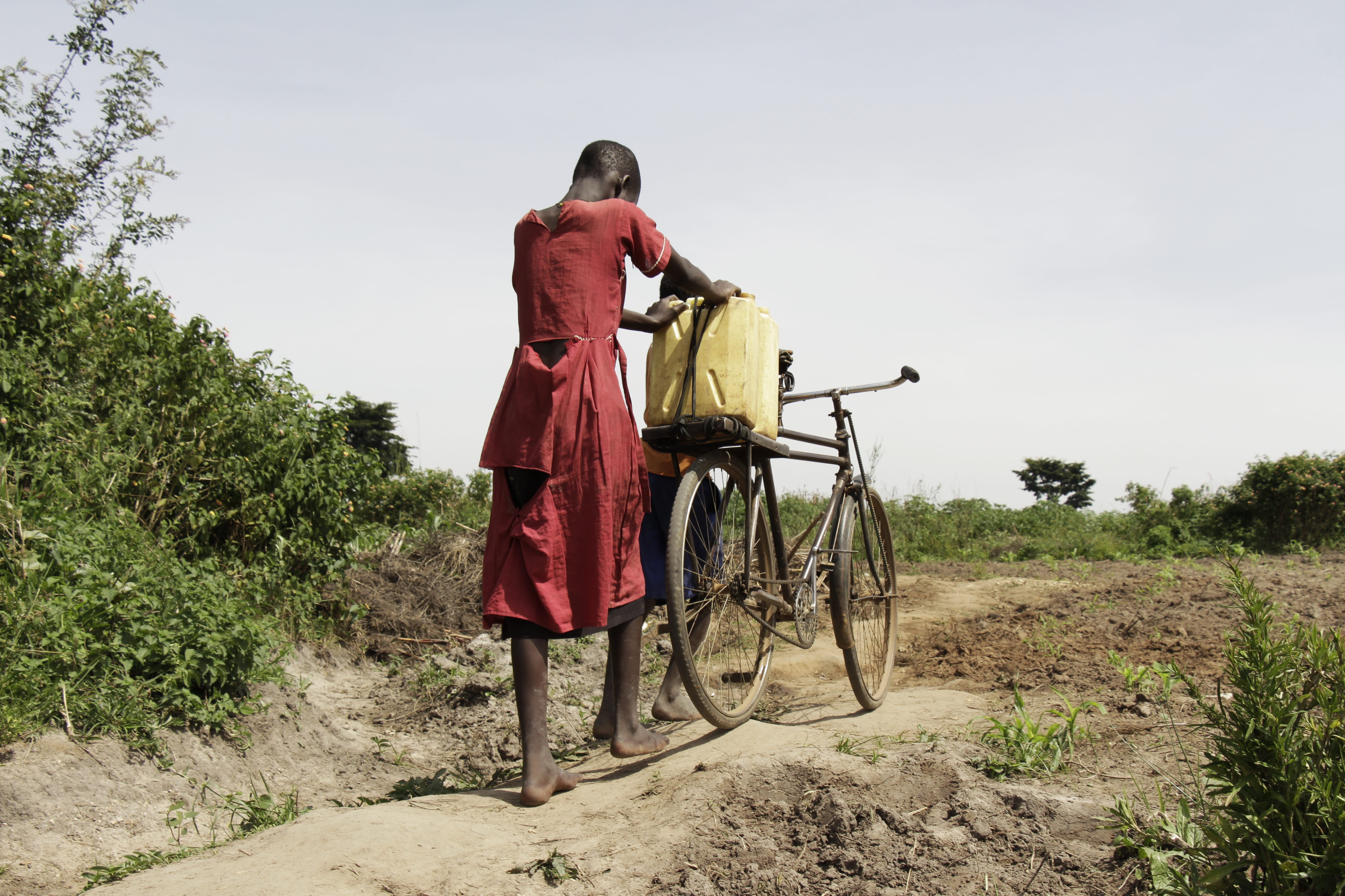 sky, outdoors, drought, rear view, gardens, carrying, africa, siblings, nature, 5K, day, kids, rural scene, kids of uganda, tree, transportation, people, HD Wallpaper