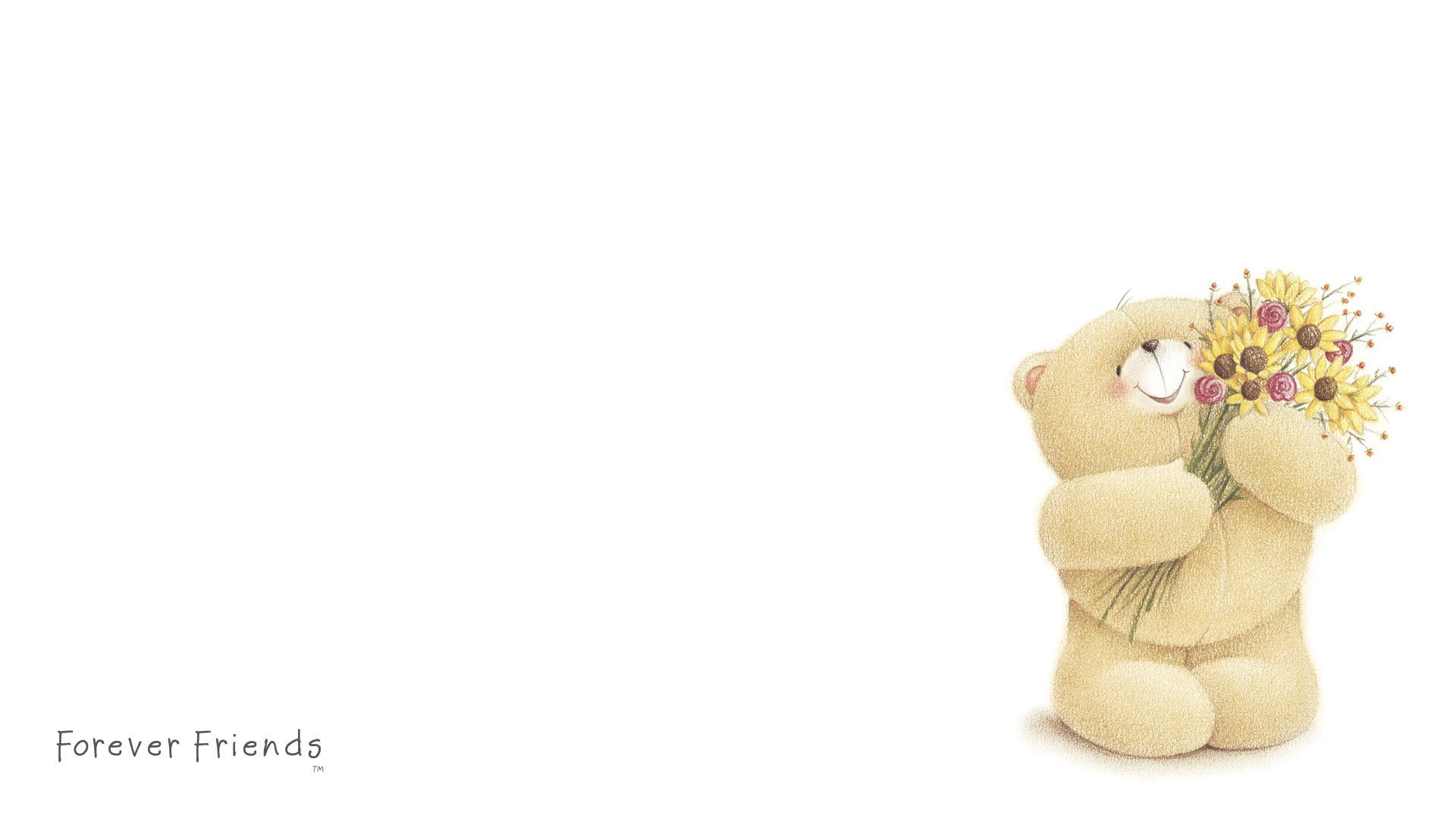 white background, bear, beige, childrens, flowering plant, still life, creativity, softness, 1080P, craft, teddy bear, representation, indoors, cut out, HD Wallpaper