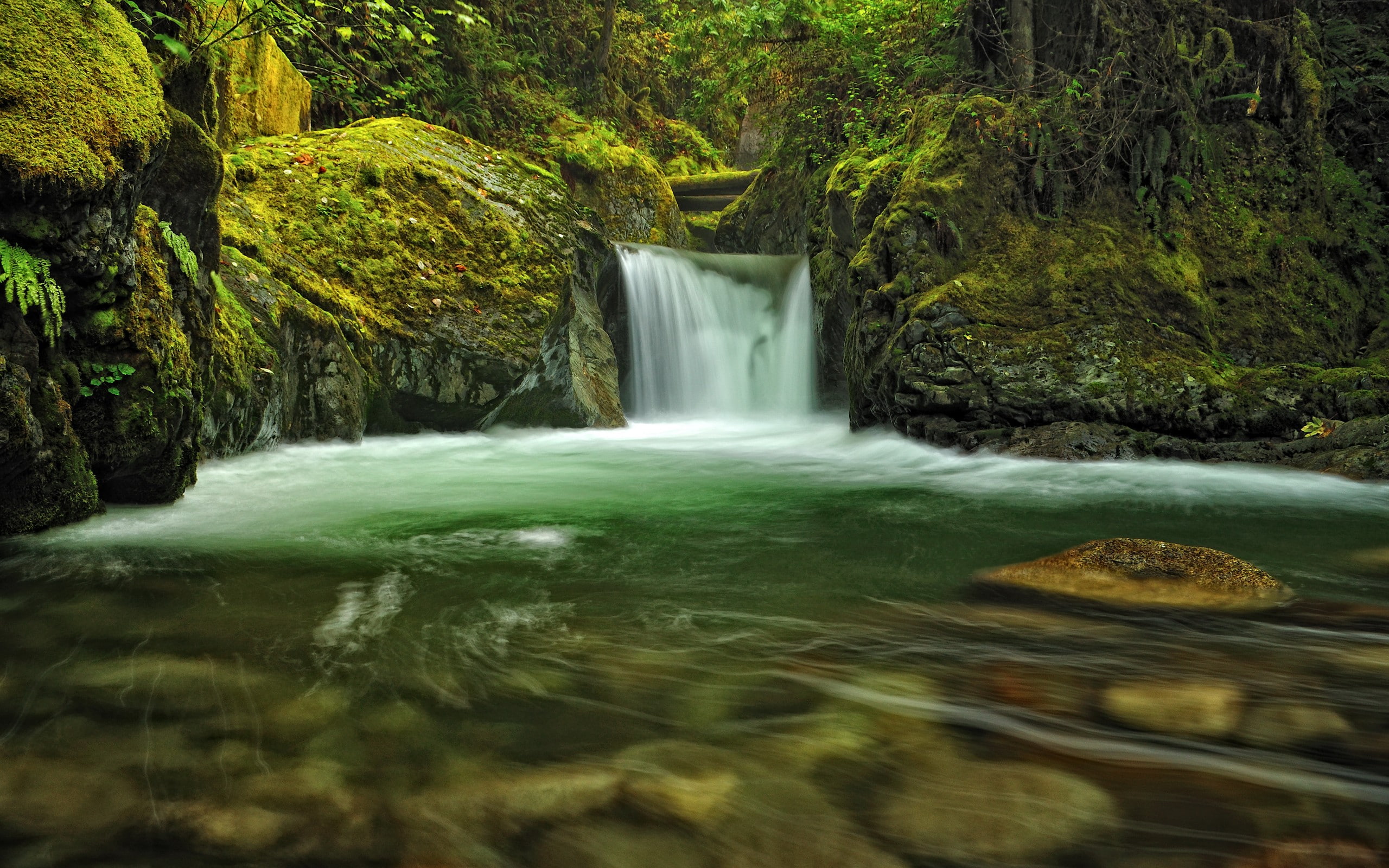 long exposure, creeks, waterfall, rocks, nature, 2K, moss, HD Wallpaper
