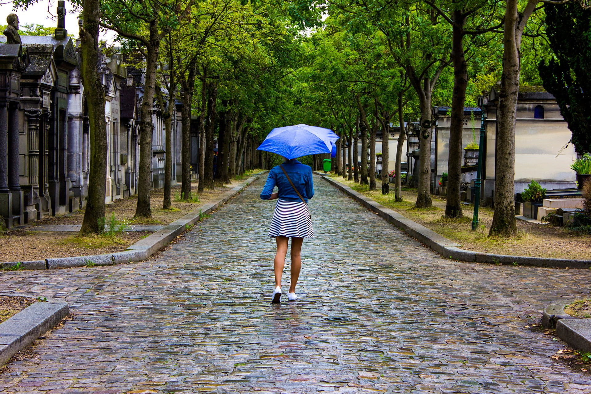 plant, women, adult, tree, rainy season, lifestyles, protection, France, rear view, one person, the way forward, footpath, water, monsoon, diminishing perspective, HD Wallpaper