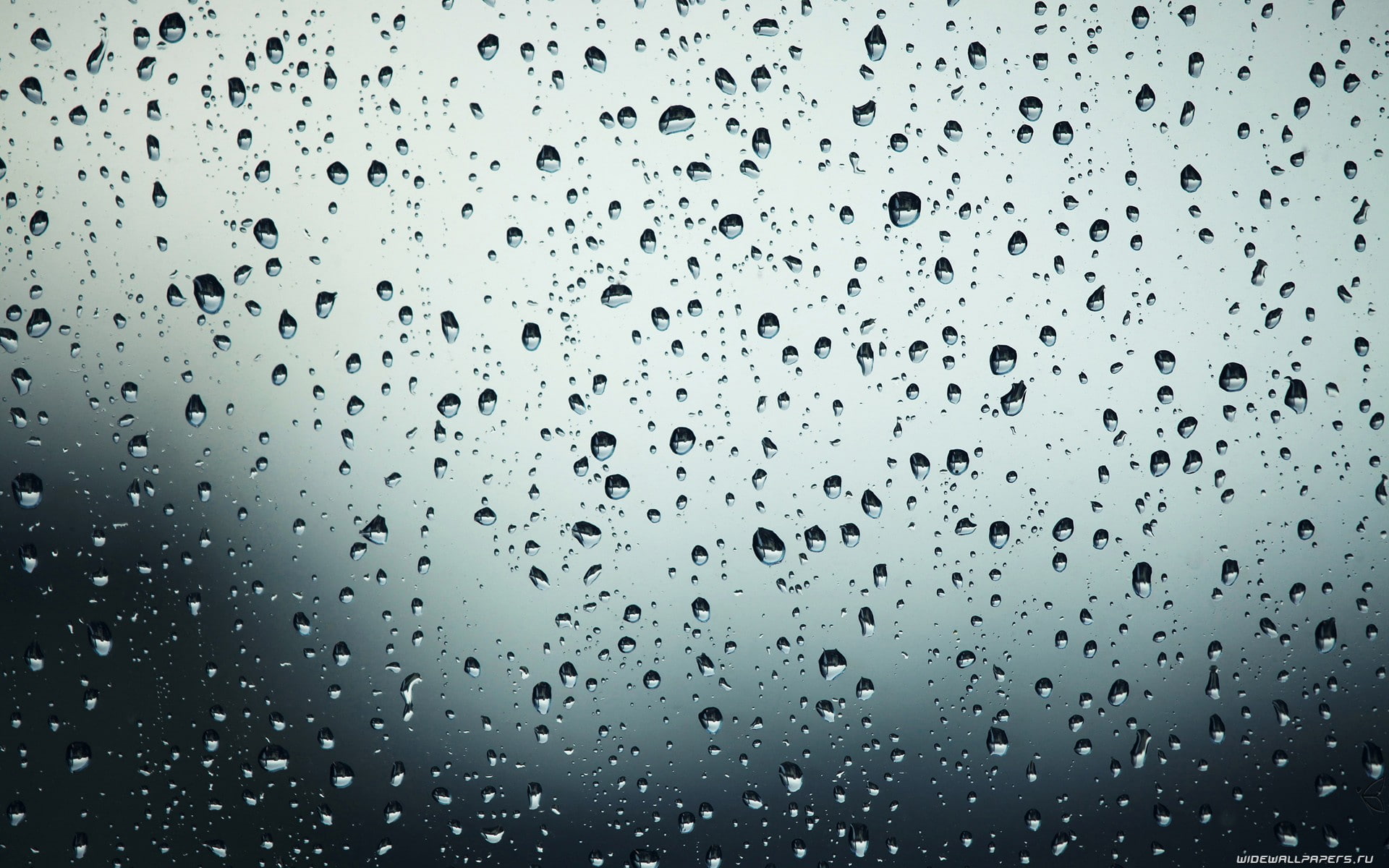 indoors, backgrounds, nature, day, water, sky, window, rain, raindrop, no people, 1080P, wet, transparent, glass - material, full frame, rainy season, HD Wallpaper