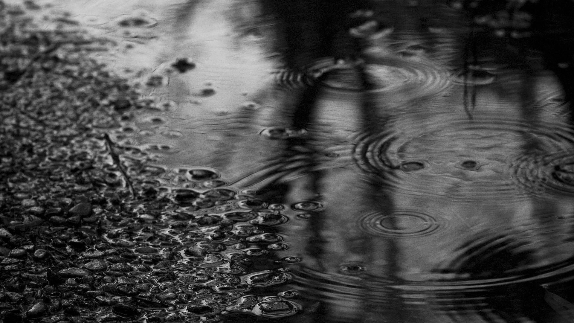 1080P, backgrounds, rippled, motion, purity, lake, drops, water surface, water, pattern, high angle view, tranquility, nature, wet, day, raindrop, outdoors, HD Wallpaper