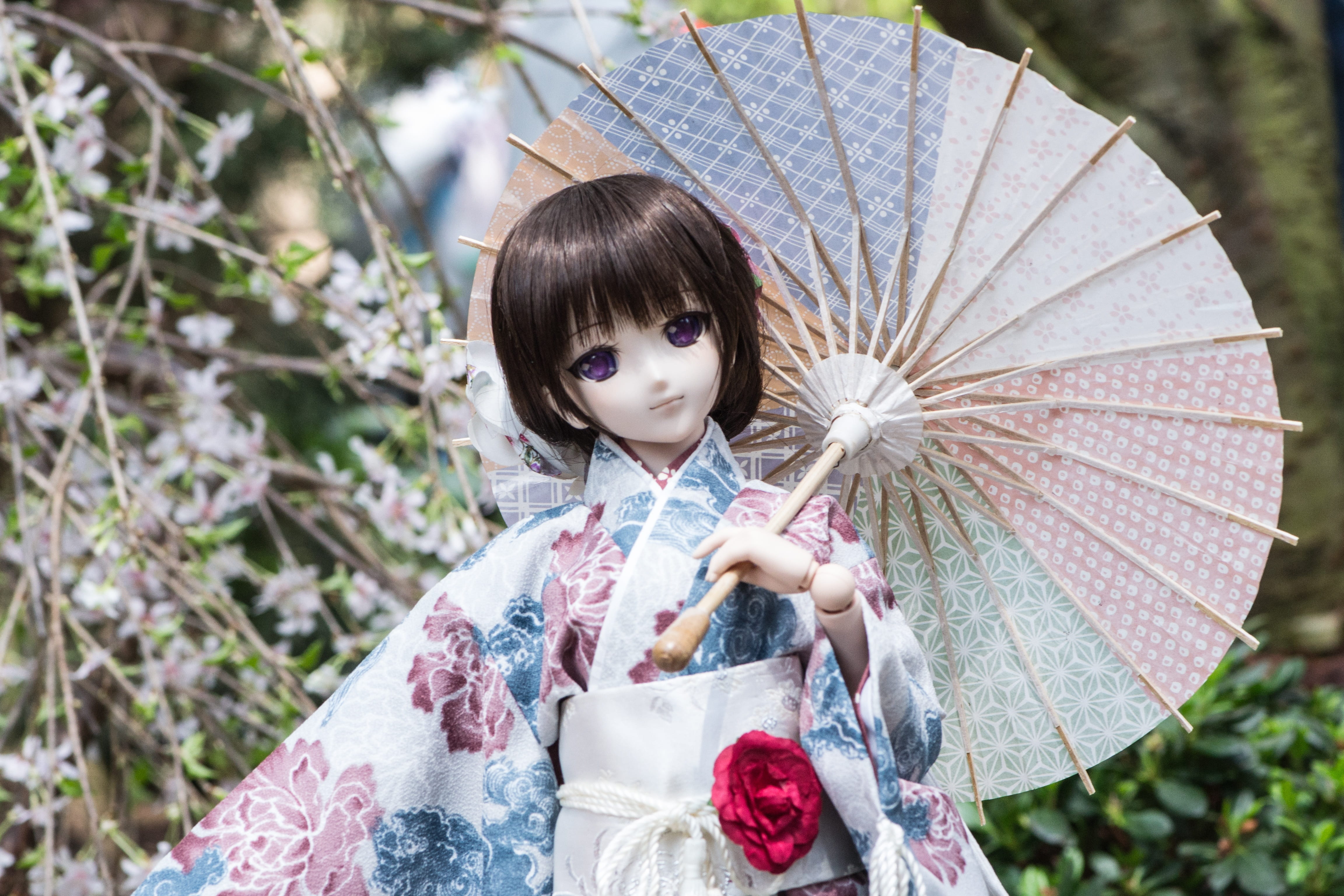 flower, kimono, baby doll, women, lovely, 4K, bangs, leisure activity, holding, innocence, plant, outdoors, real people, umbrella, clothing, focus on foreground, HD Wallpaper