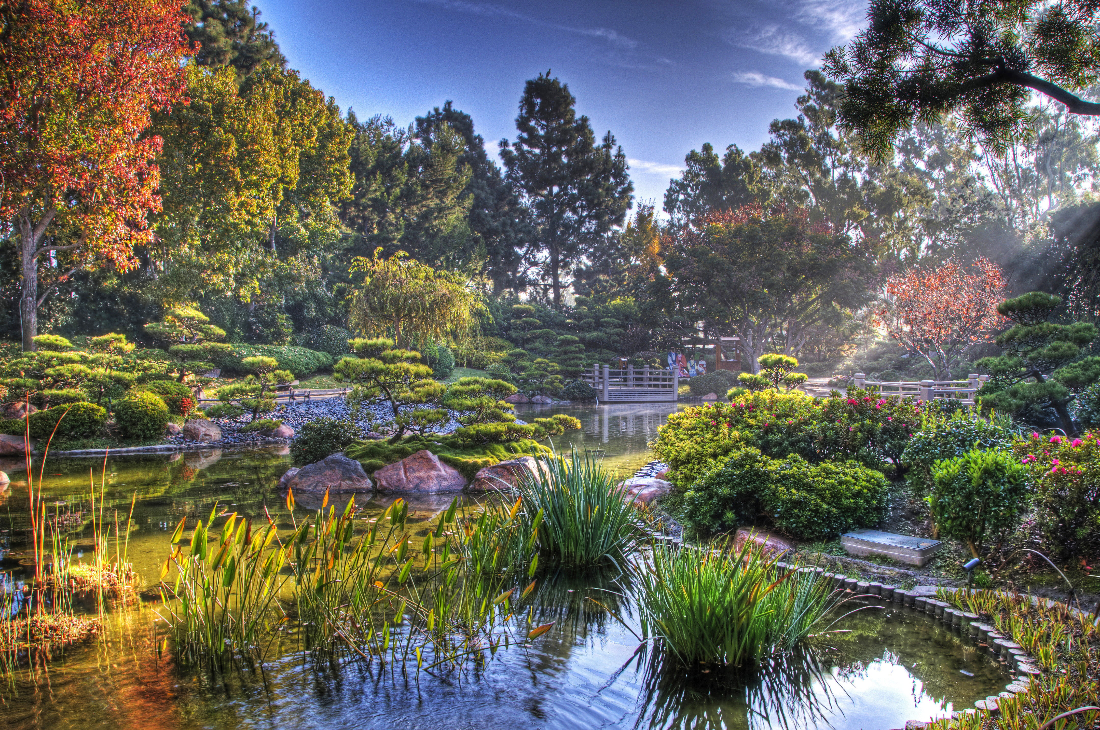 plants, beauty In Nature, japanese Culture, tranquility, tree, plant, asia, Japanese garden, water, garden, pond, no people, tranquil Scene, made, 4K, HD Wallpaper