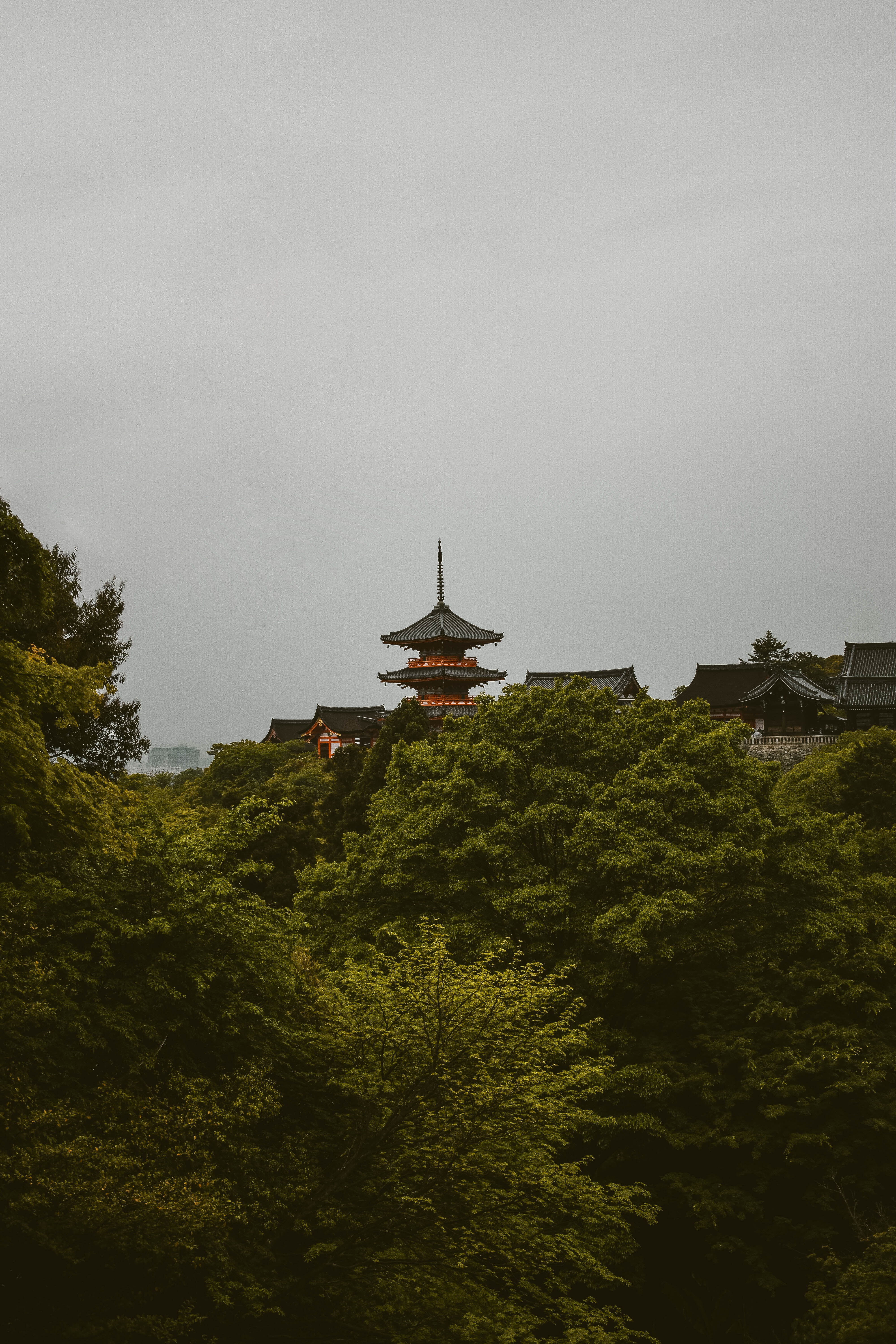 pagoda, growth, no people, tree, green color, built structure, 5K, religion, low angle view, belief, plant, spirituality, architecture, cloud - sky, spire, Phone HD Wallpaper
