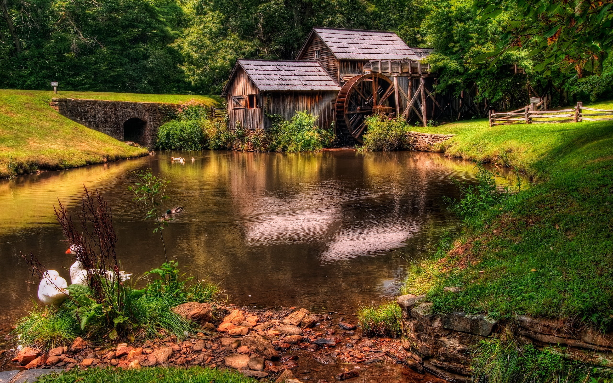 forest, summer, one person, landscape, old, nature, grass, mill, cultures, pond, canal, built Structure, plant, history, outdoors, cottage, travel, non-Urban Scene, HD Wallpaper